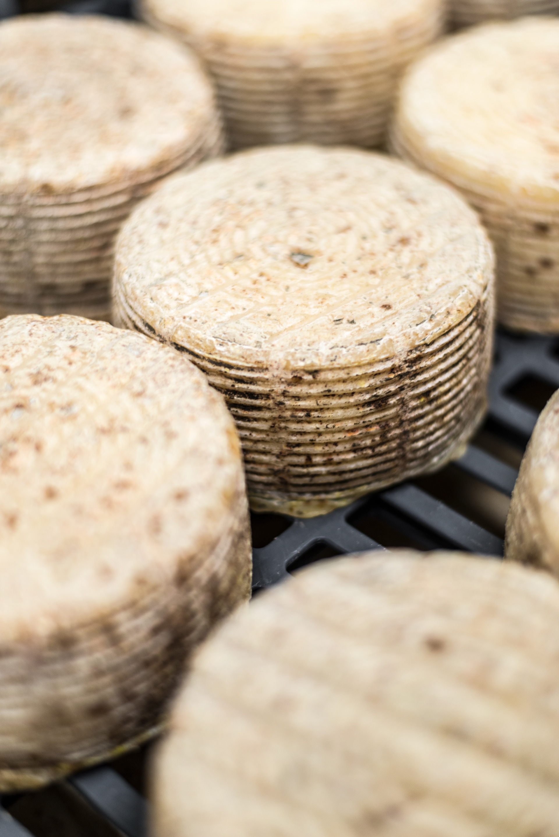Young Goats cheese - Lácteos Martínez - Haro