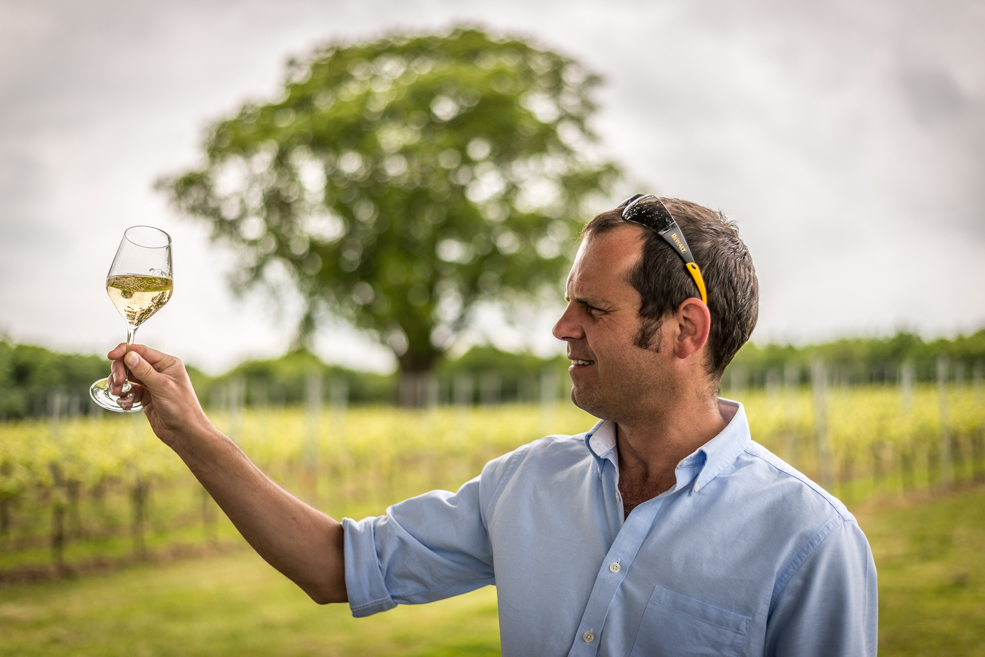 Jon Pollard, Sparkling wine tasting at Gusbourne vineyard