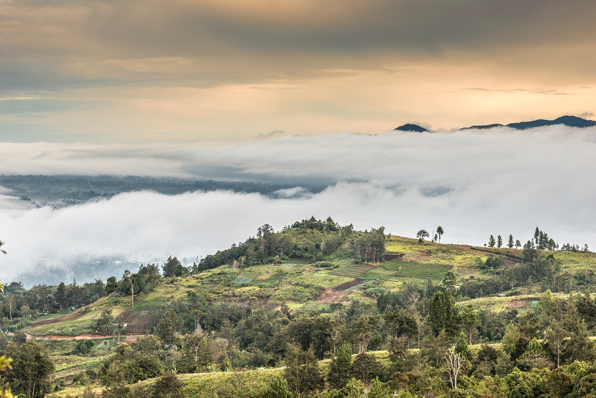 Sunrise views from Rondon Ridge Lodge, Mt Hagen