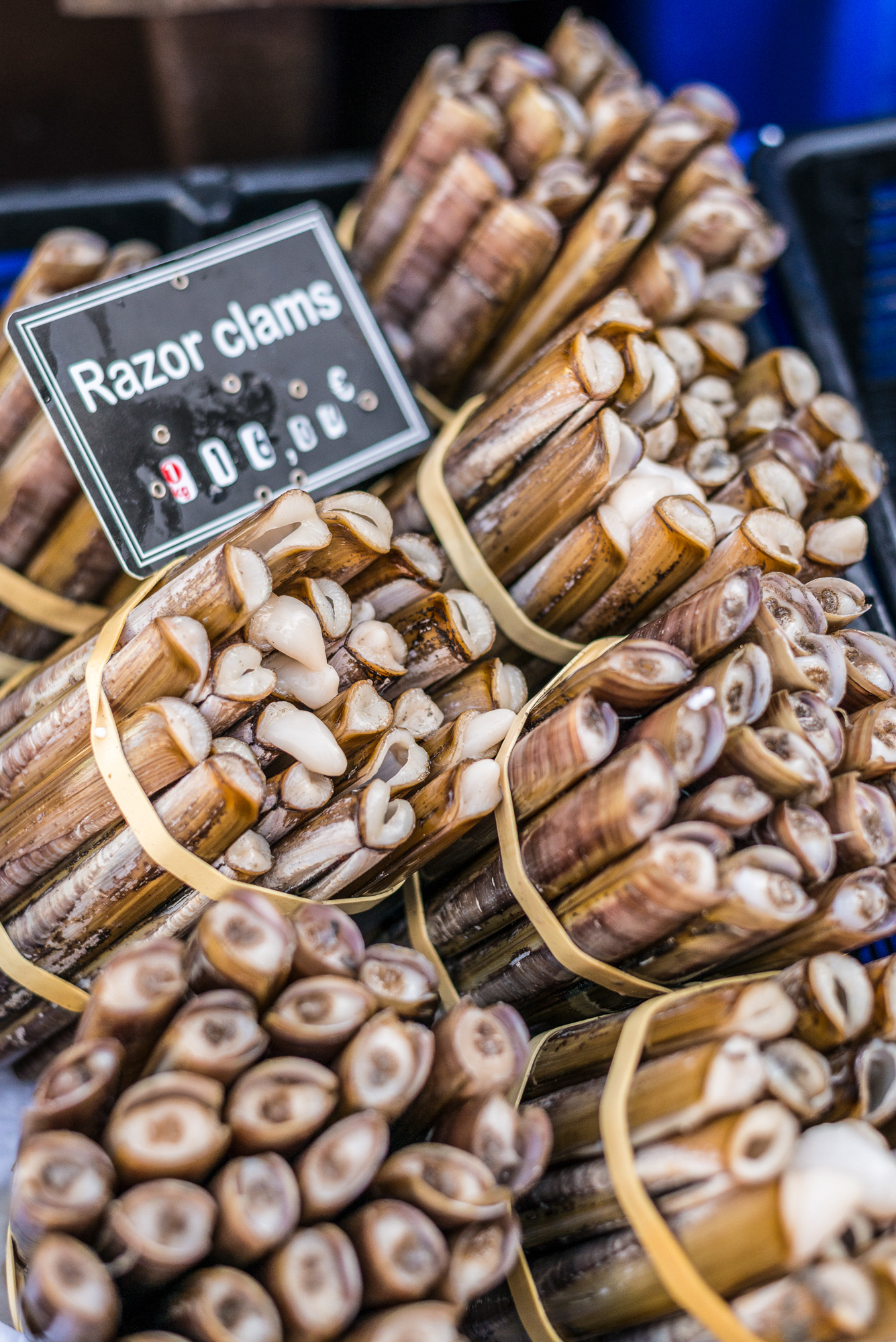 Razor Clams - Farmers Market - Galway