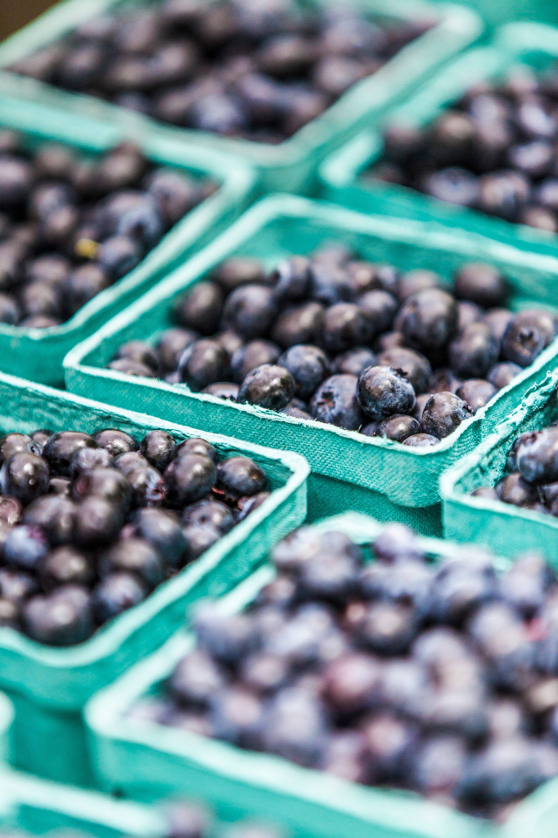 Portland Farmers Market