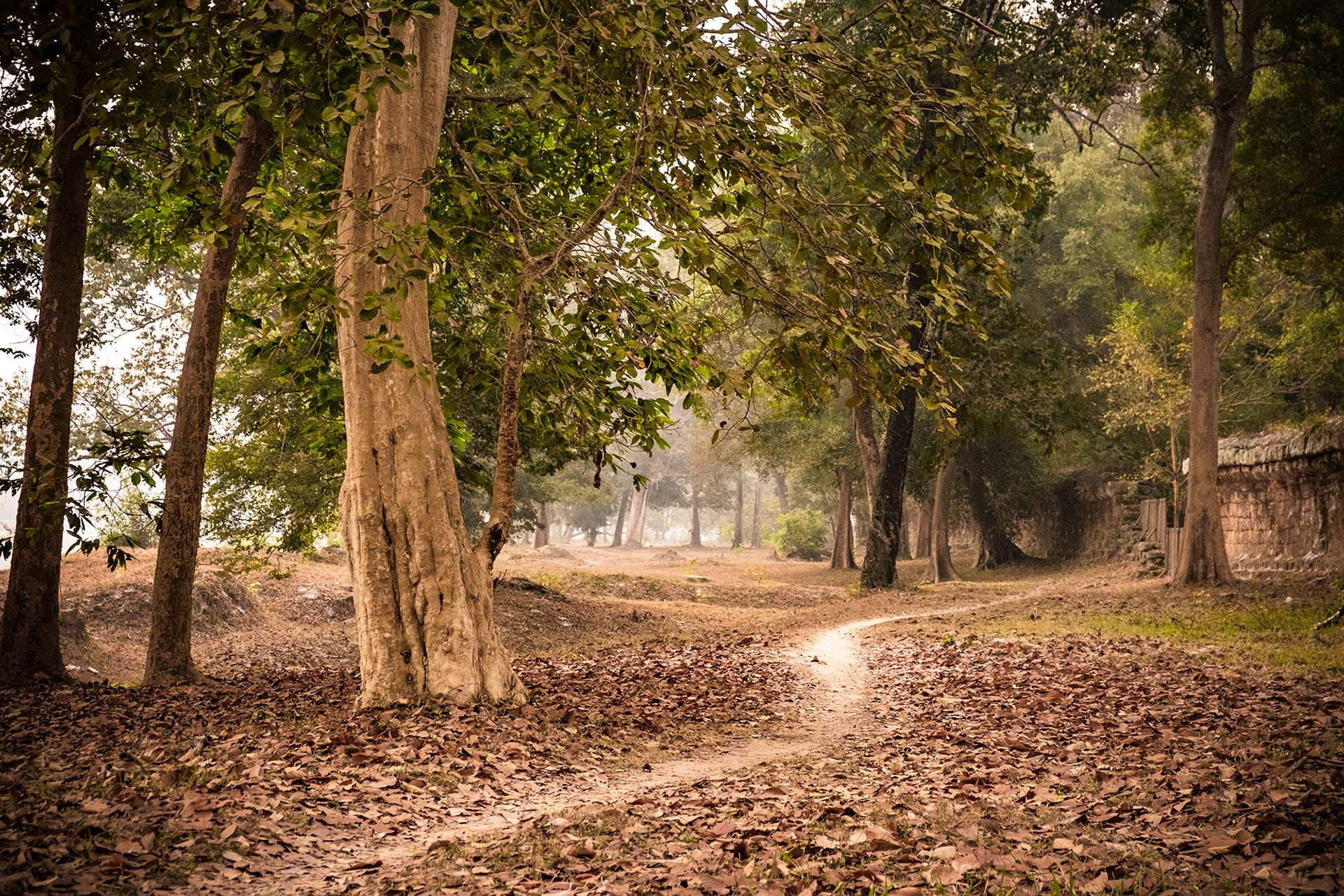 Early morning at Angkor Wat, Cambodia