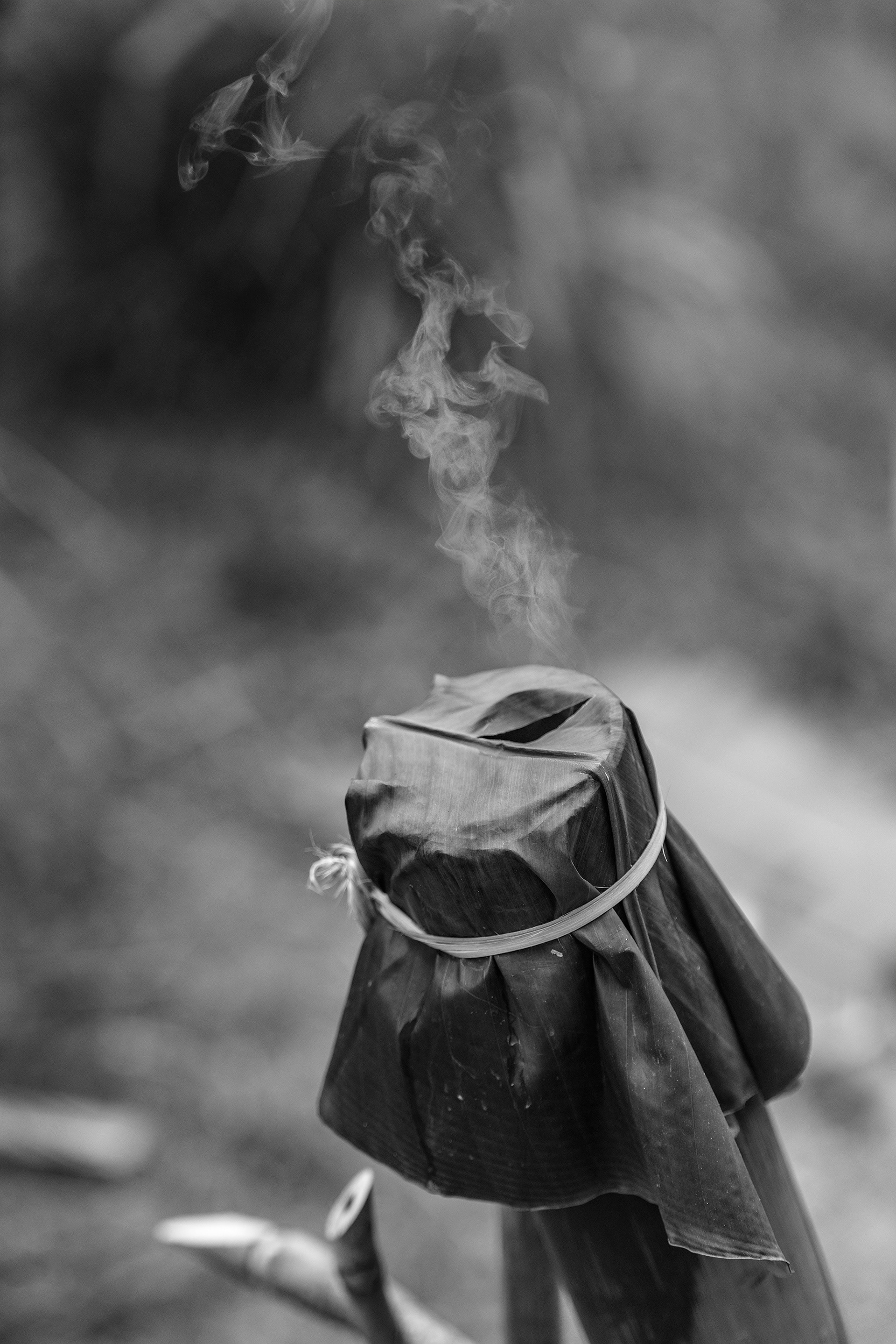 ...and steaming the rice in bamboo on an open fire.