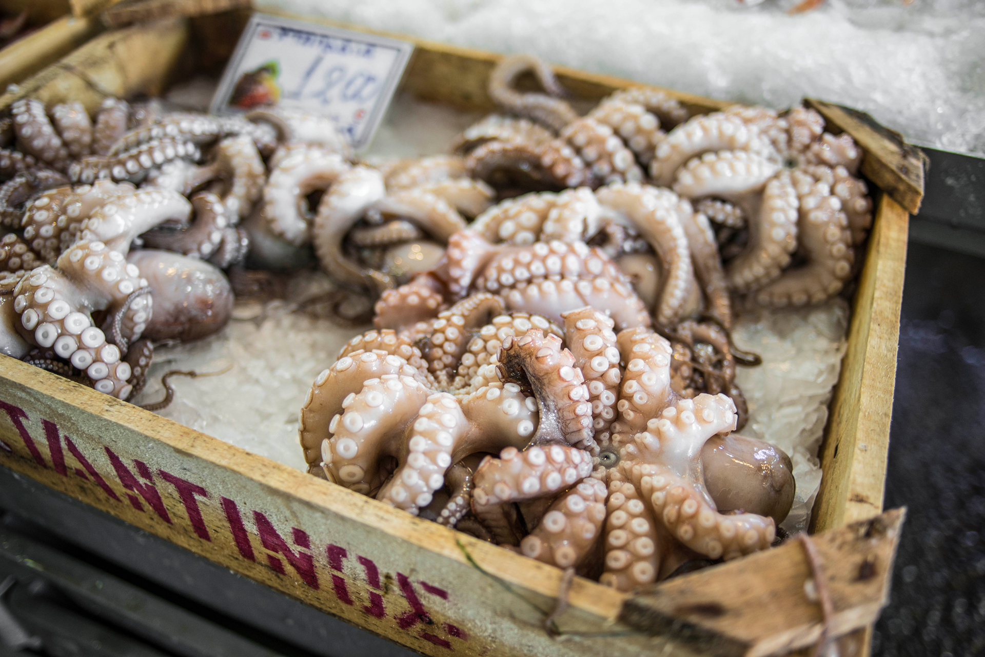 Local, Fresh Octopus, Chania Central Market, Chania, Crete