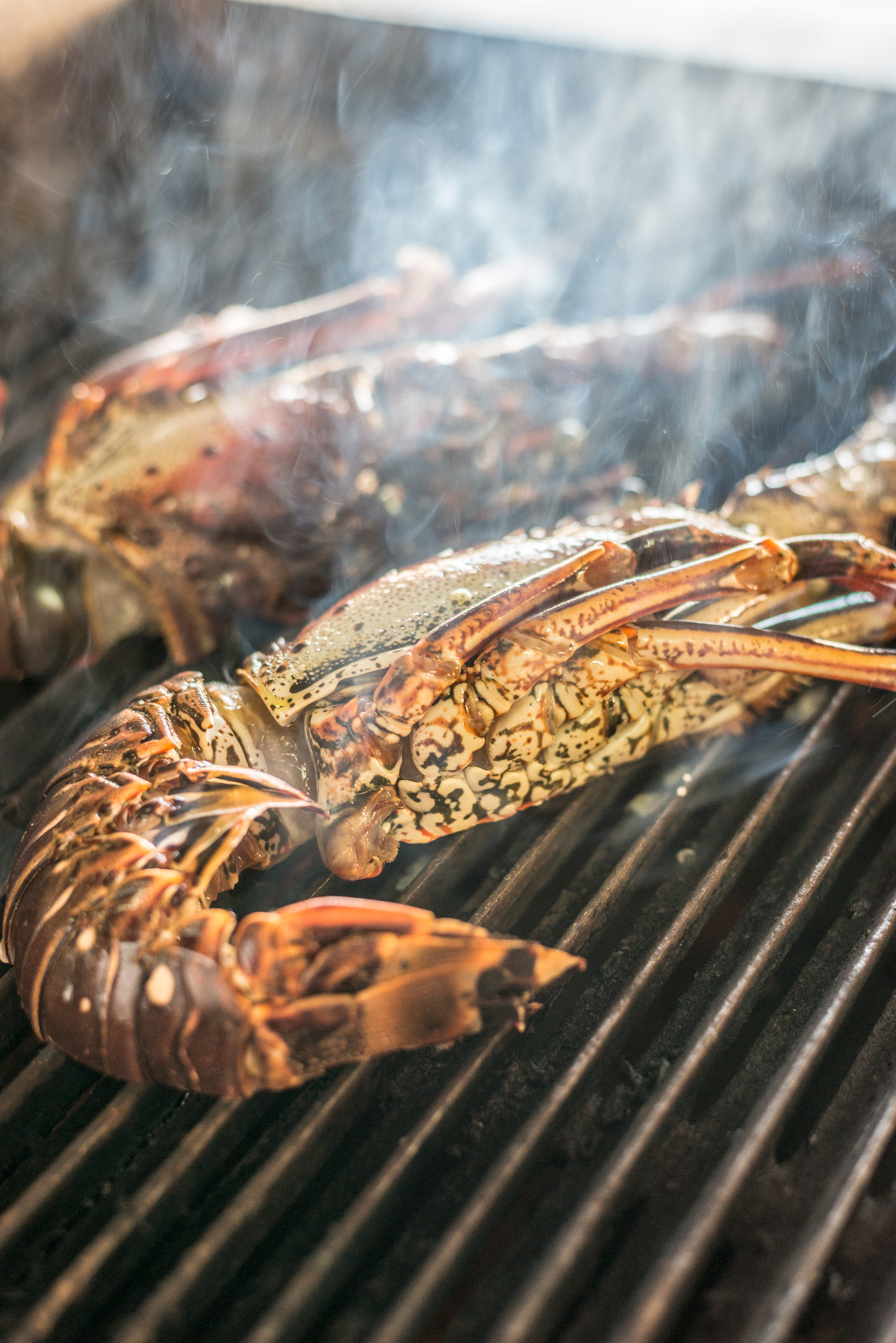 Local Lobster, creole style at the very stylish, Cap Maison