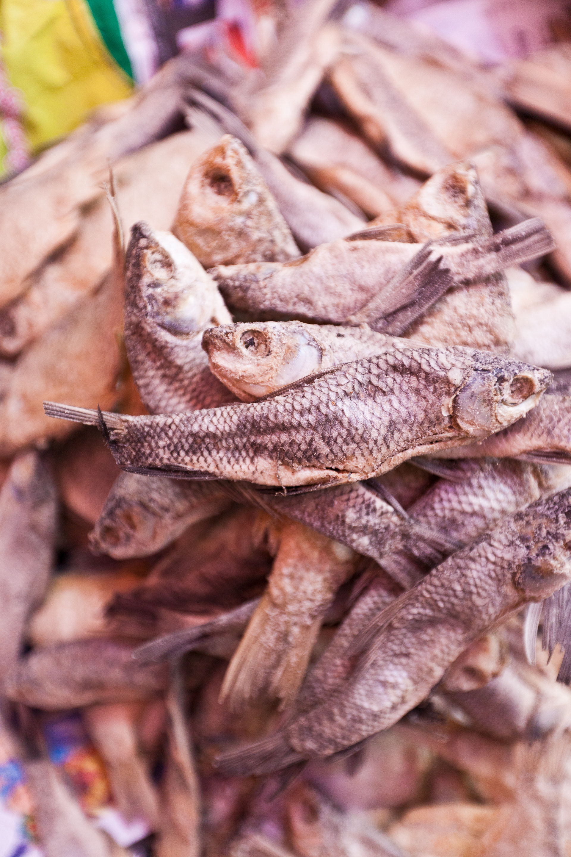 Dried Fish, Pyin U Market, Mandelay