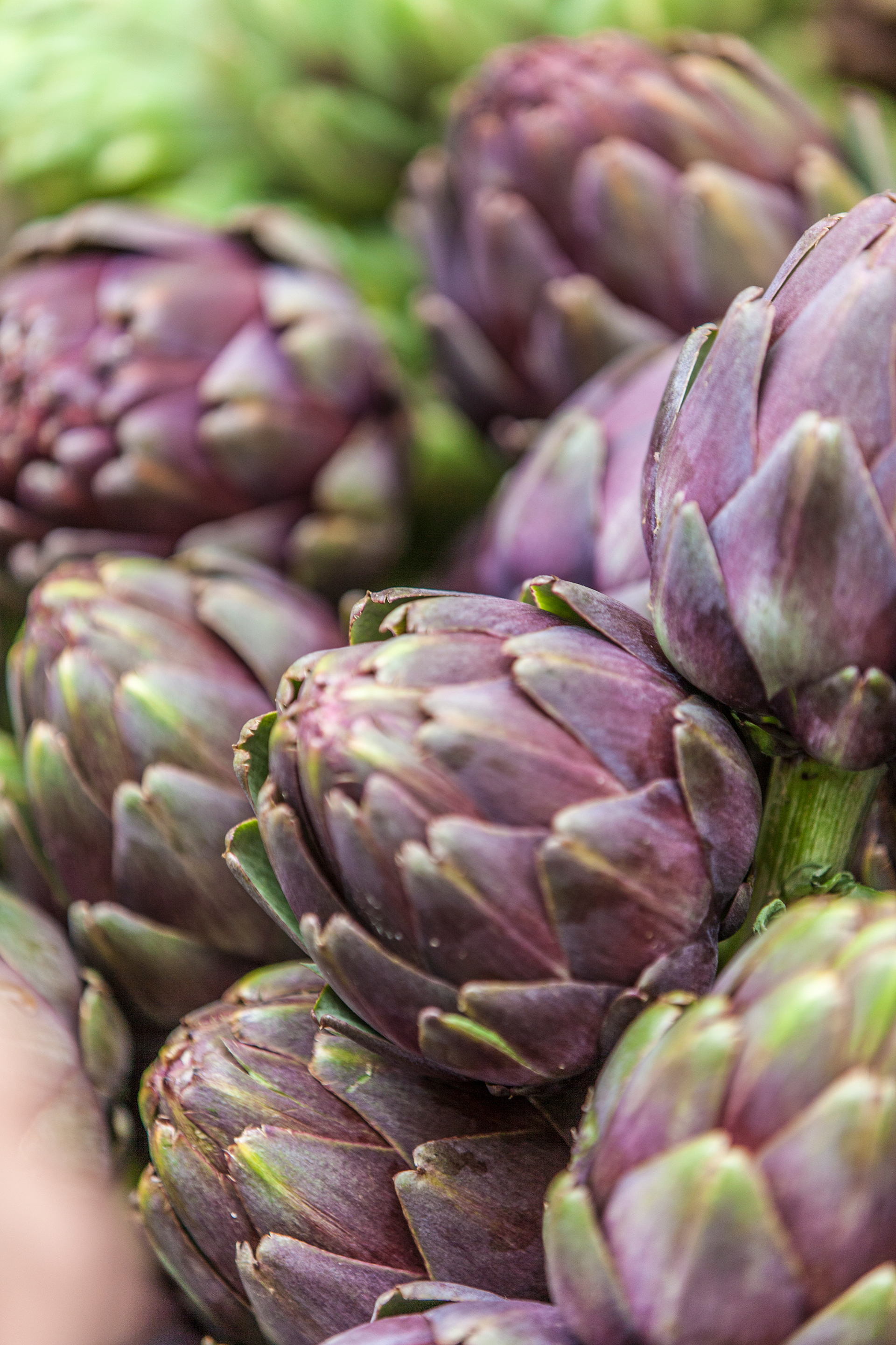 Portland Farmers Market