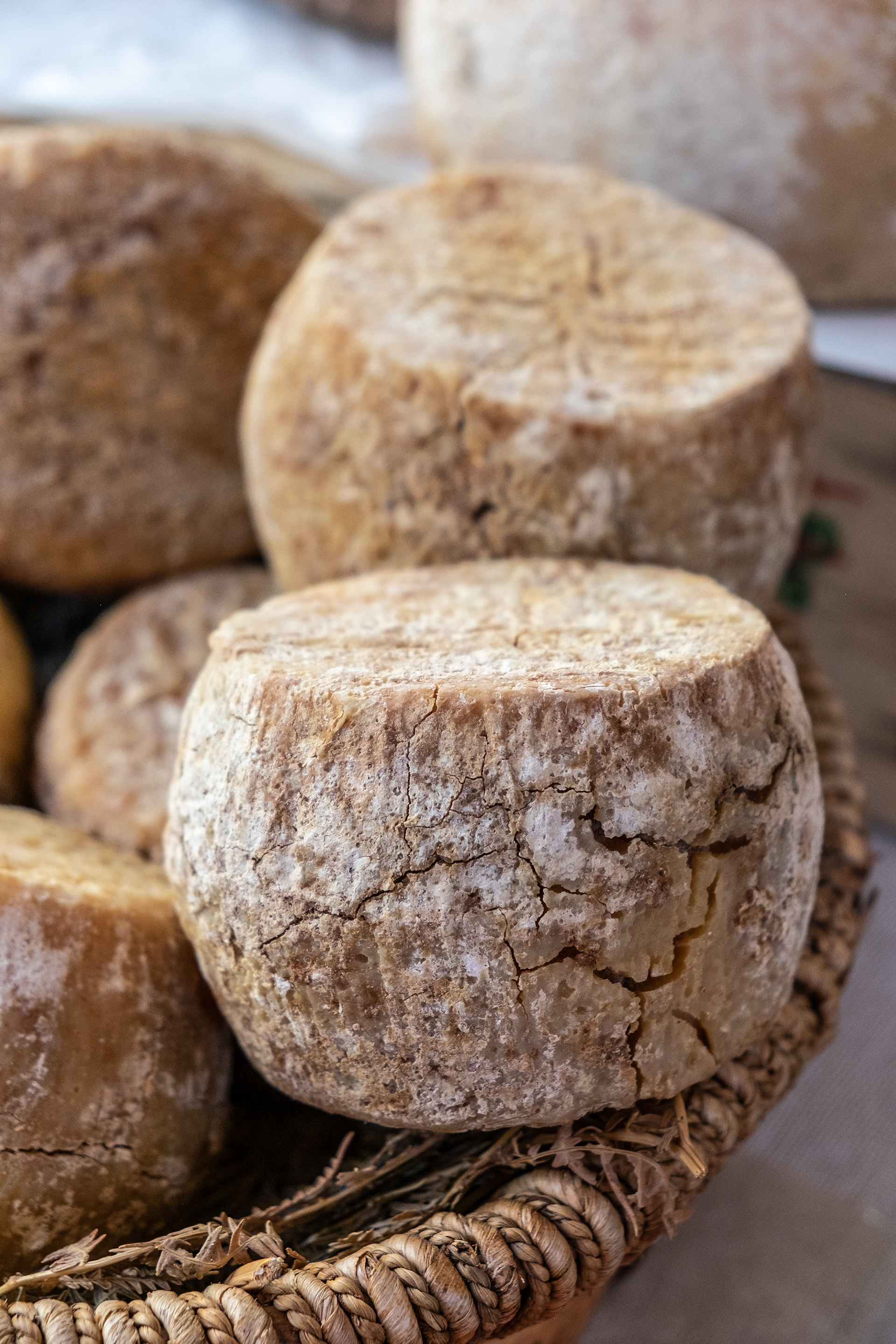 Corsican Tomme Cheese, local producers market, L'lle Rousse