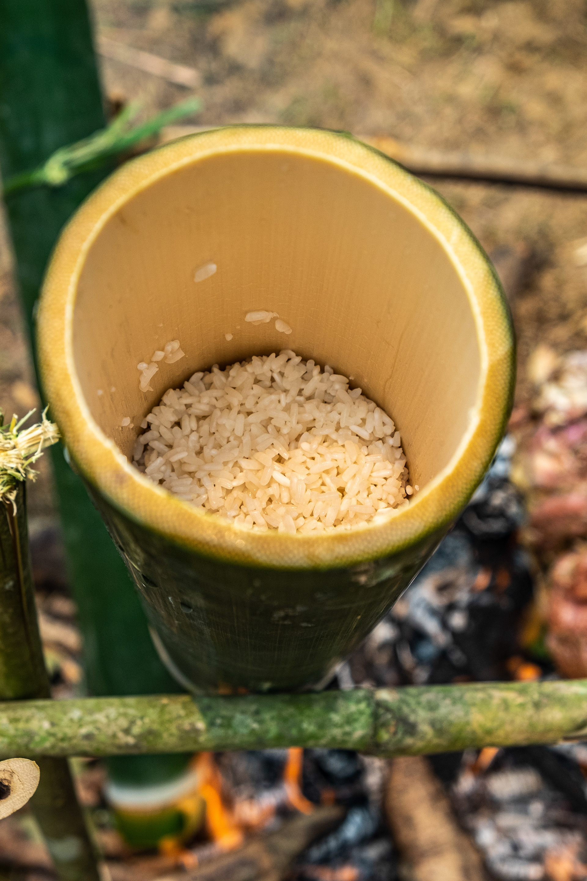 Rice steamed to perfection in a hollow bamboo.