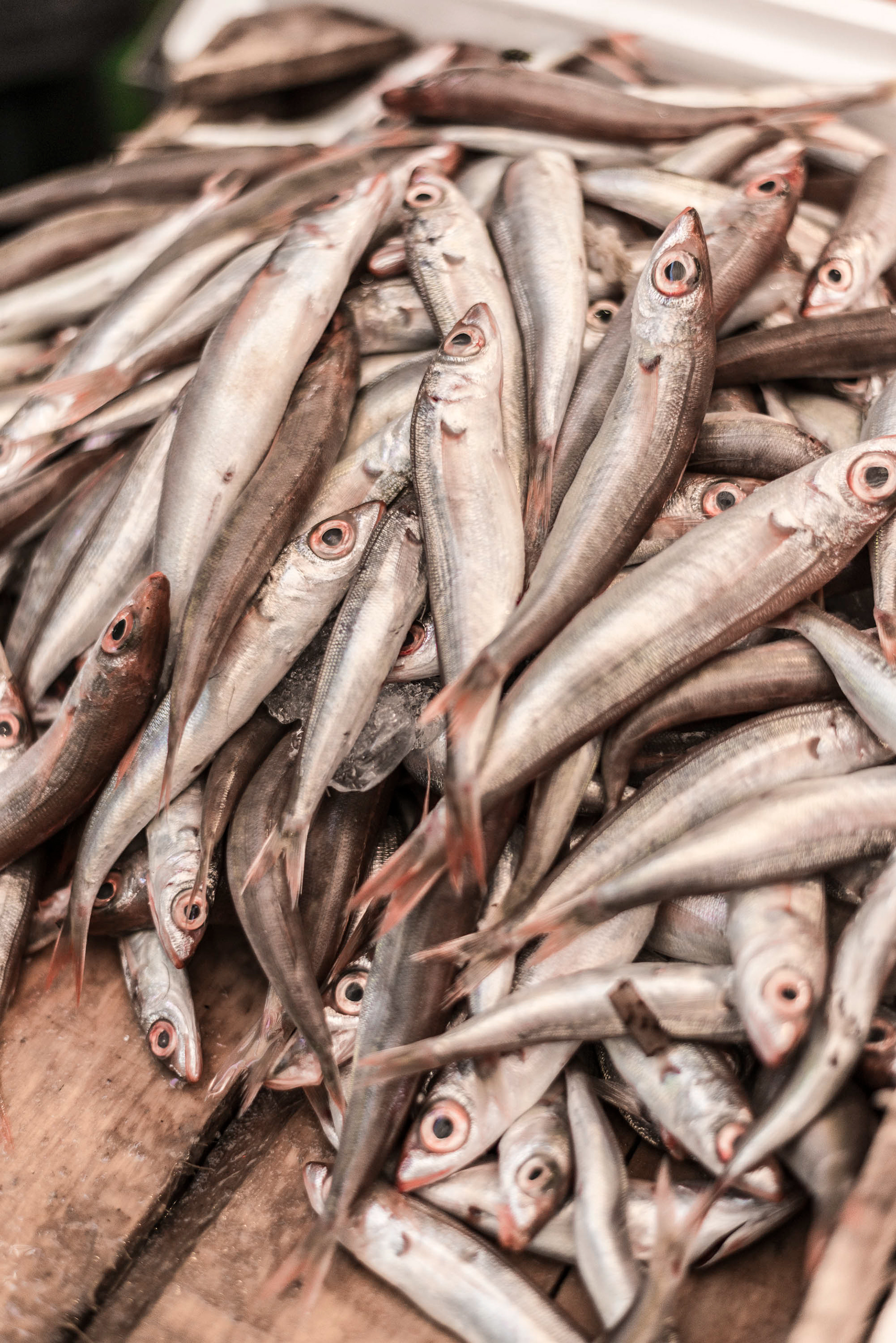 Sardines for sale in Hiraklion Market