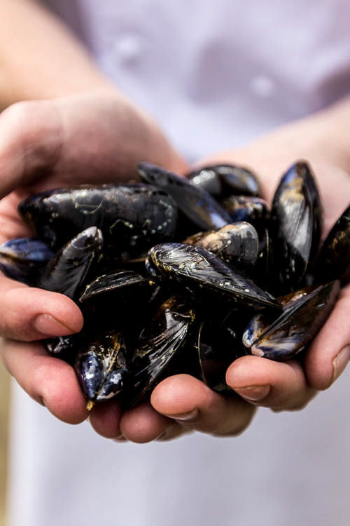 Head Chef, James Coffey Holding Fresh Mussels at The Park Hotel, Kenmare