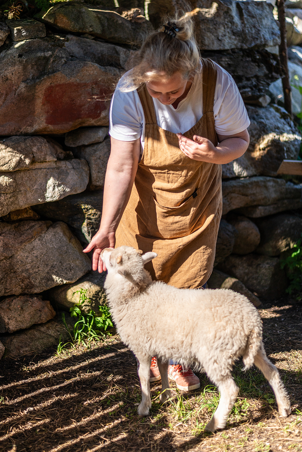 Sara Taraldsen with her Lambs - Hurran Spiseri Cafe - Frøya Island