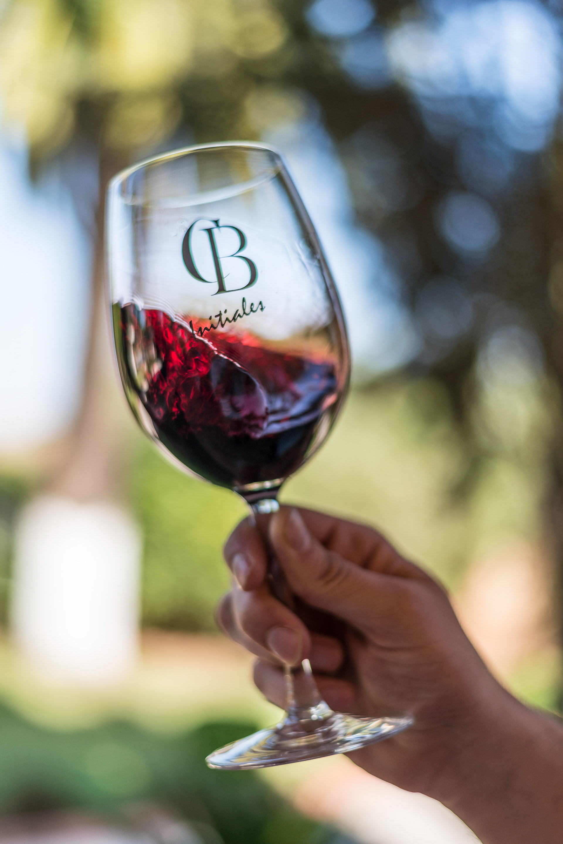 Morocco's very own Winery, Thalvin Wines, Near Rabat
