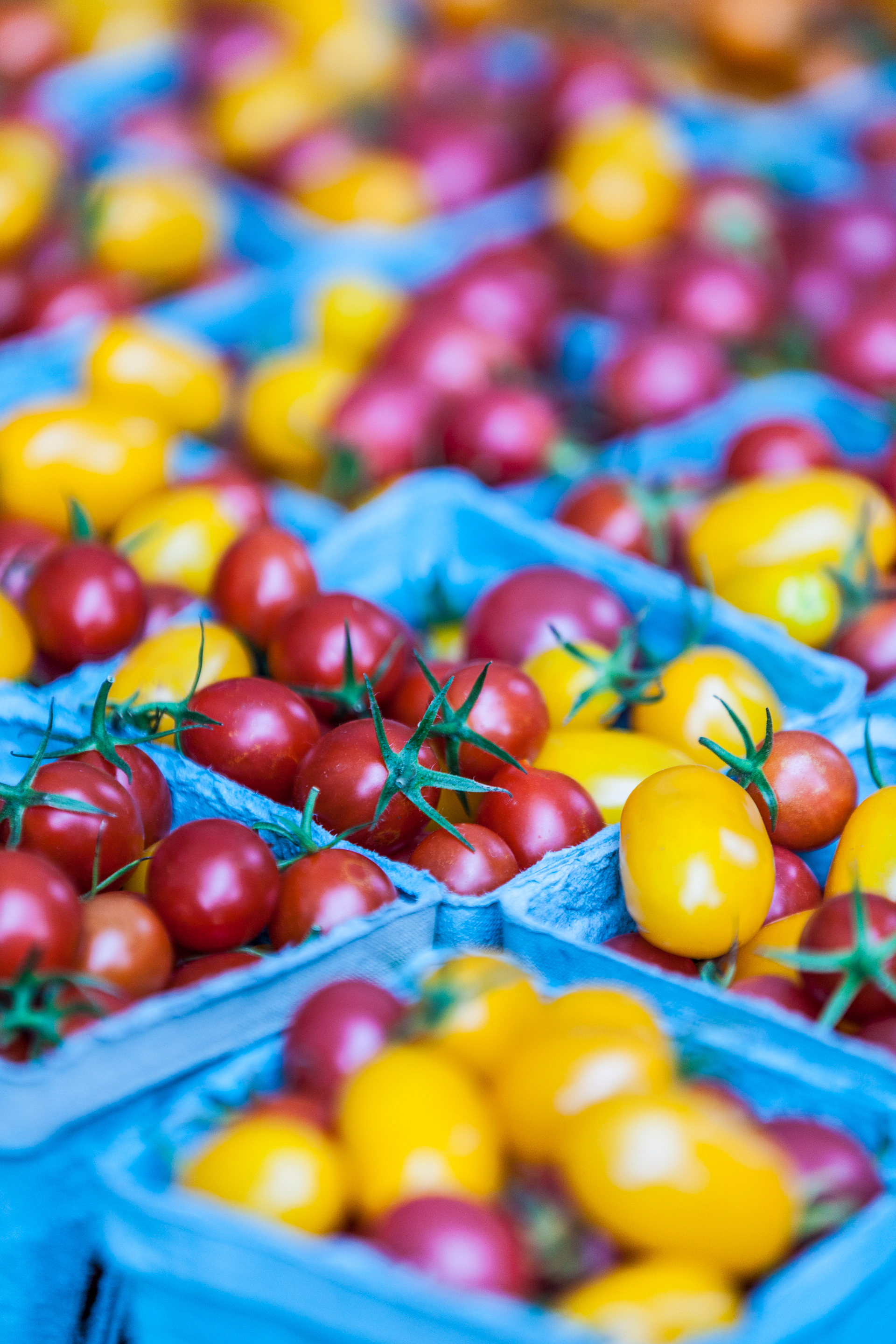 Portland Farmers Market