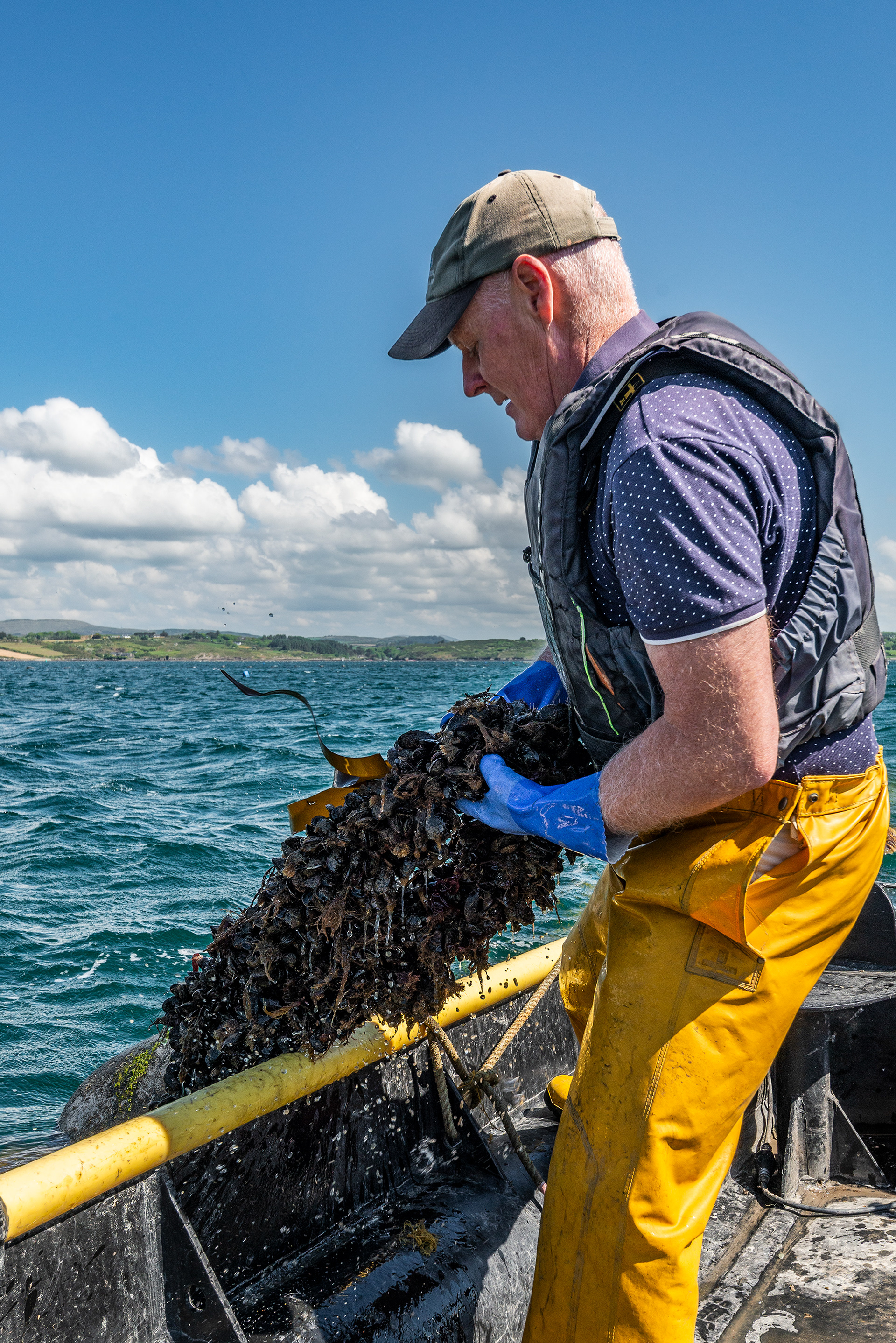 Colin Whooley of Roaring Water Bay Rope Mussels - Roaring Water Bay - Skibbereen