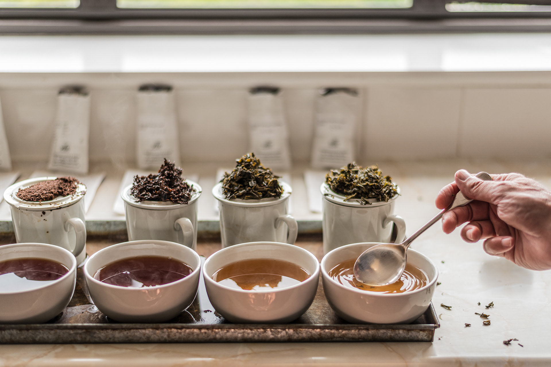 Tea tasting with John Halls at Miles tea importers and blenders