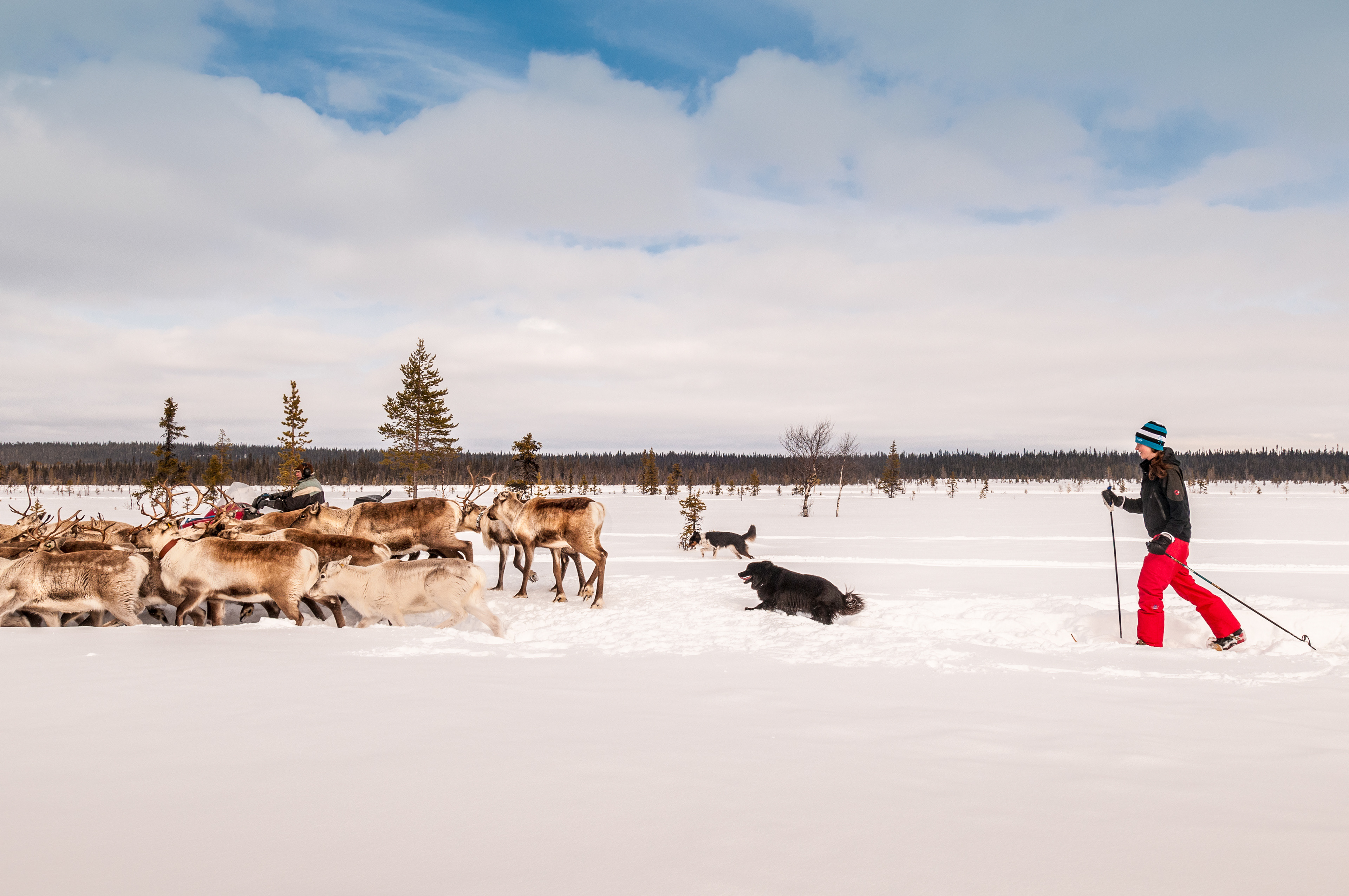 Keeping stragglers rounded up before the migration begins