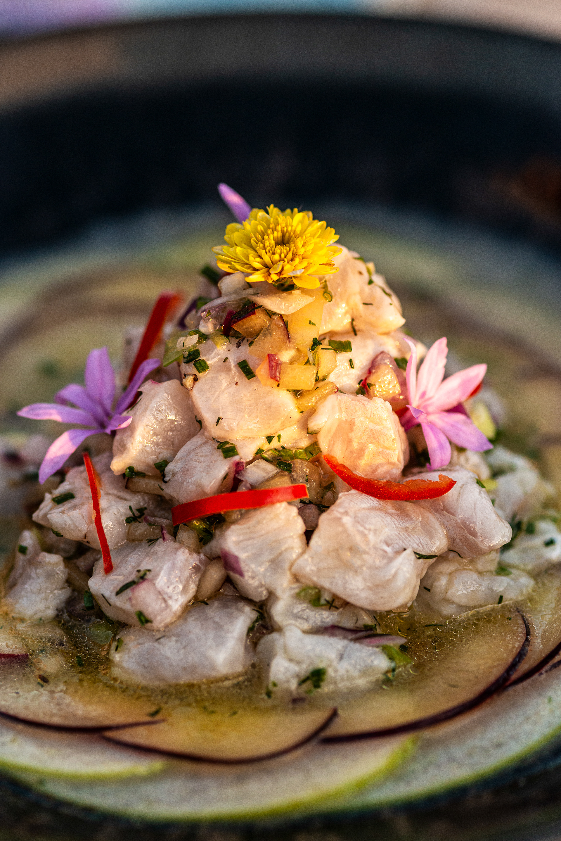 Lionfish Ceviche - Pelagos Restaurant - Coriva Beach Hotel - Ierapetra