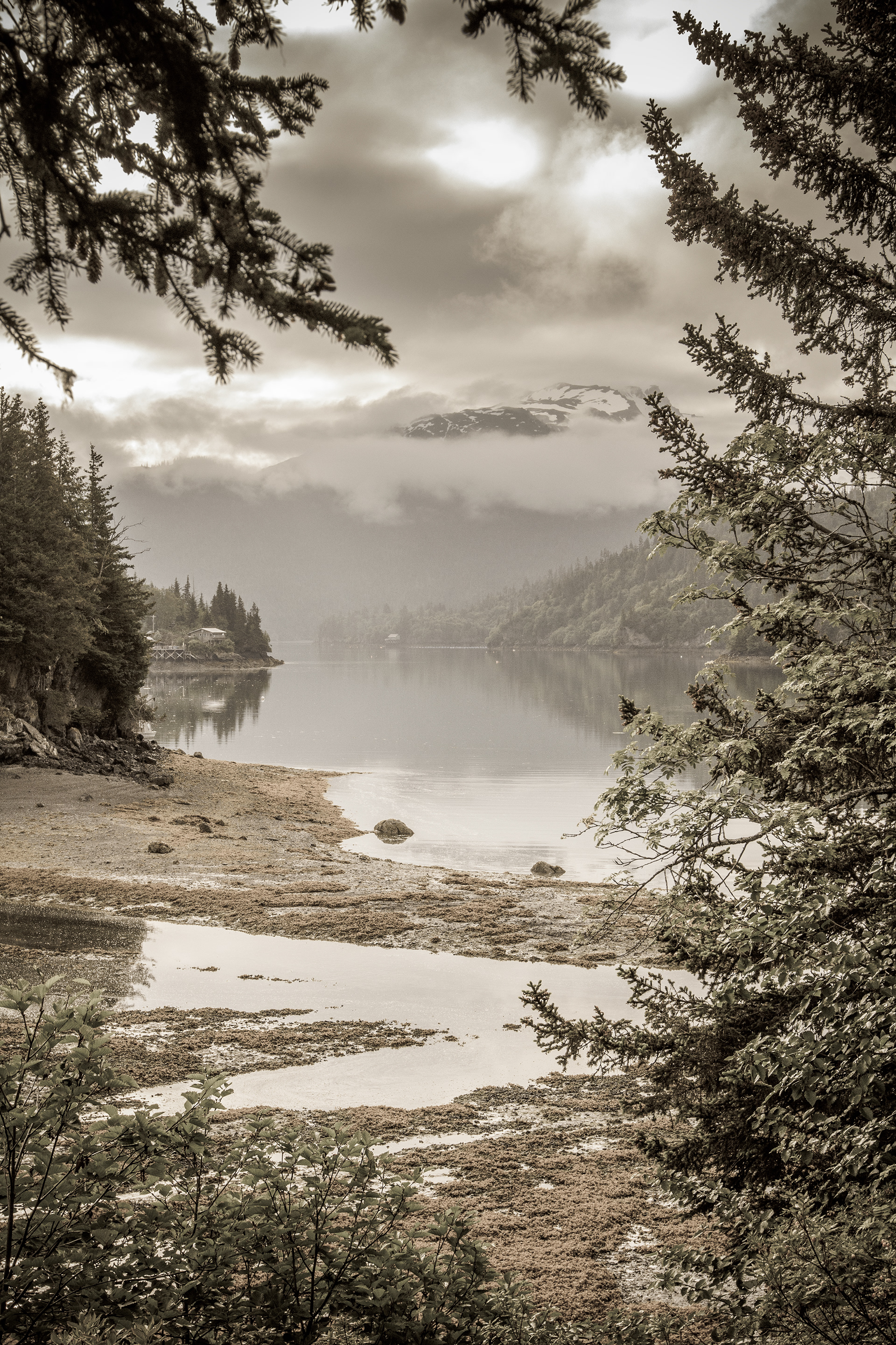 Stillpoint, Halibut Cove