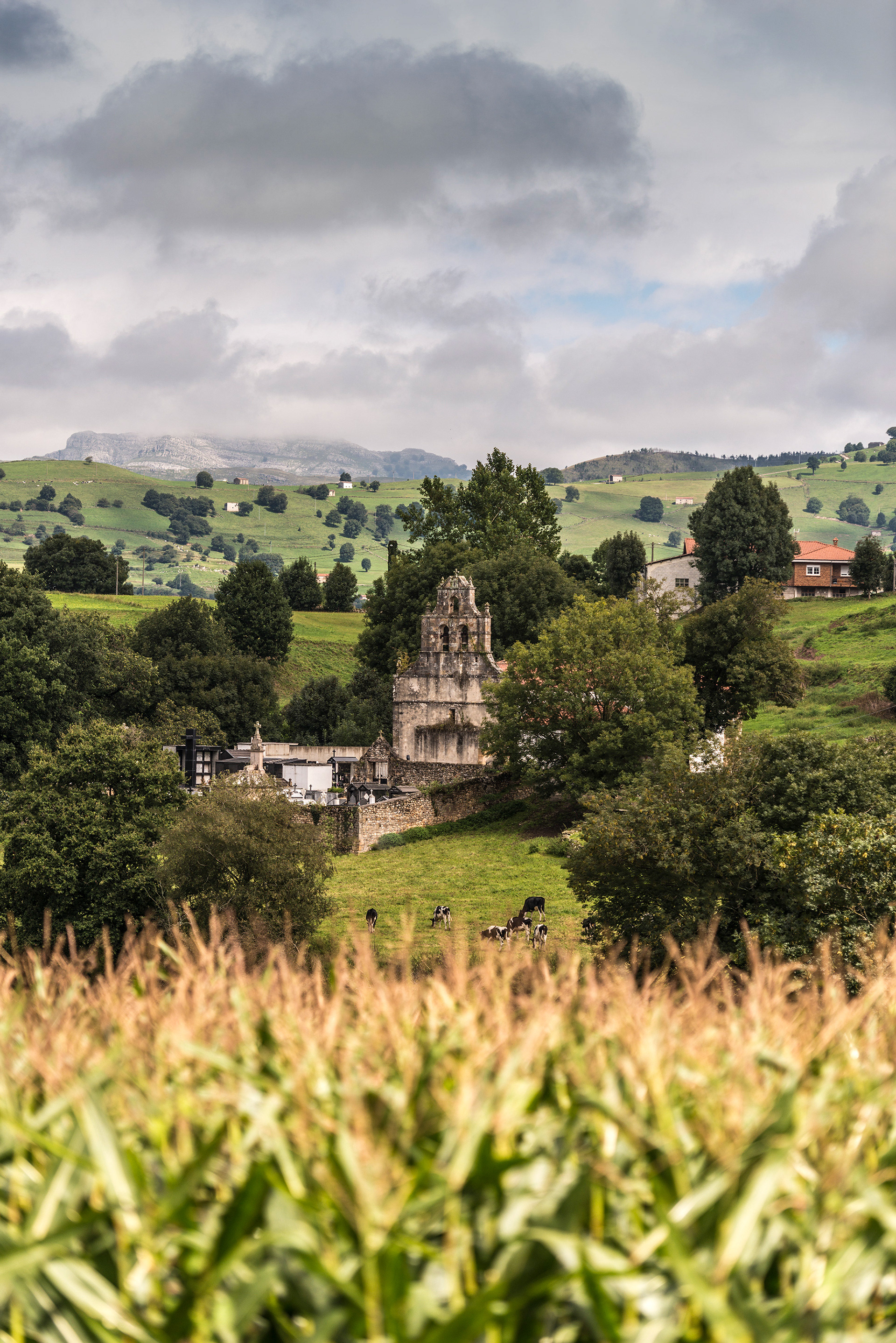 The pretty country-side around the Tezanos area