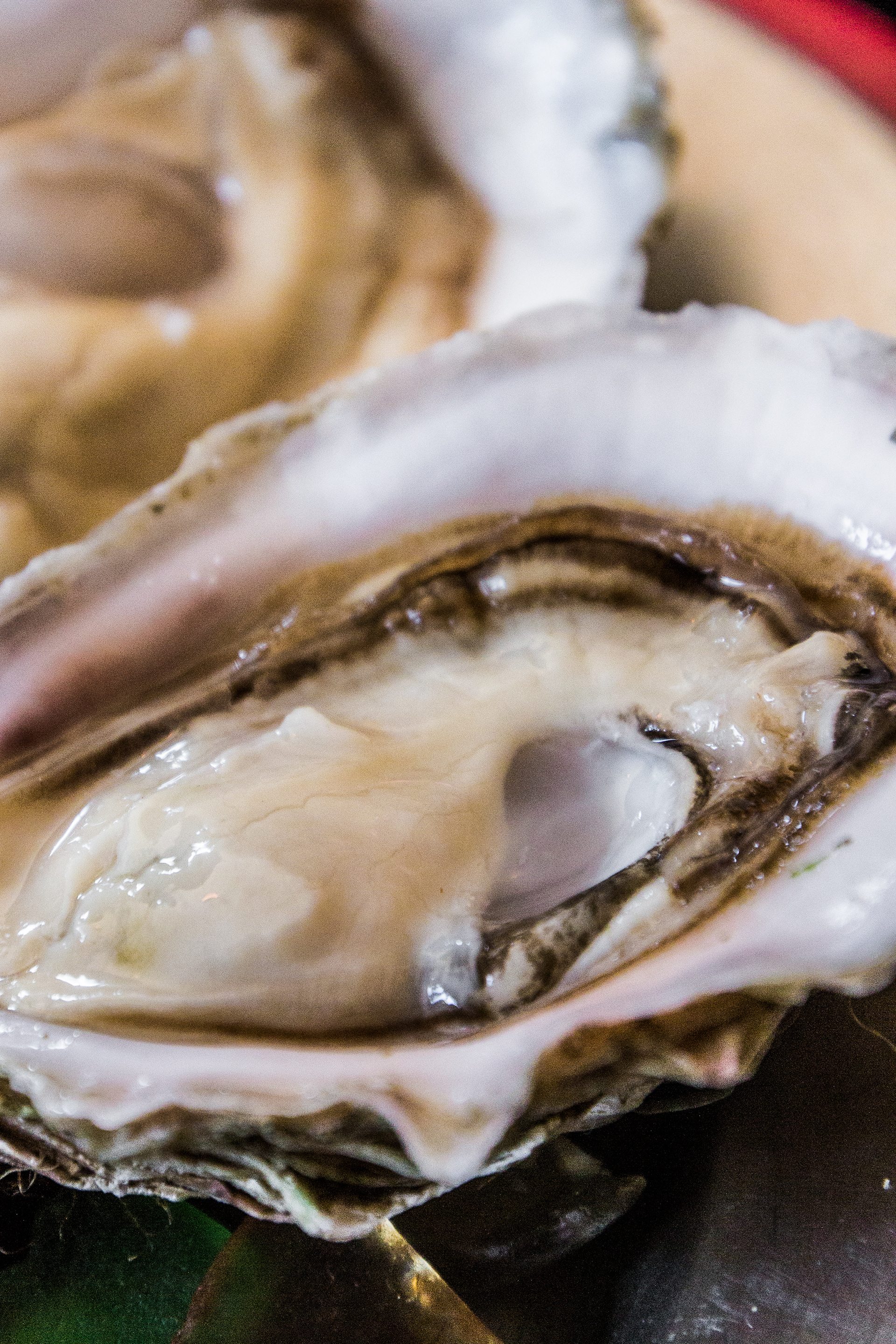 Oysters, Cafe Cups Restaurant, Homer