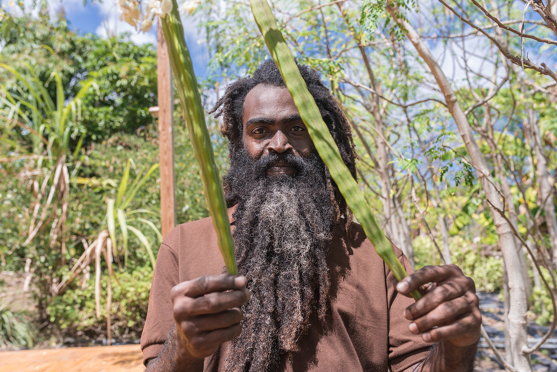 Rastafarian farmer Judah Fari, showing us around his farm and shop, Ital Creation, Basseterre