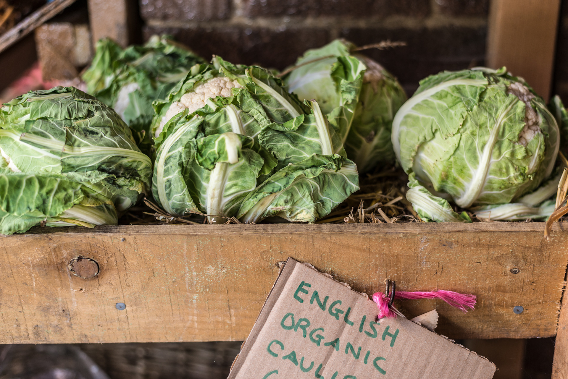 Farm Shop - English Cauliflower