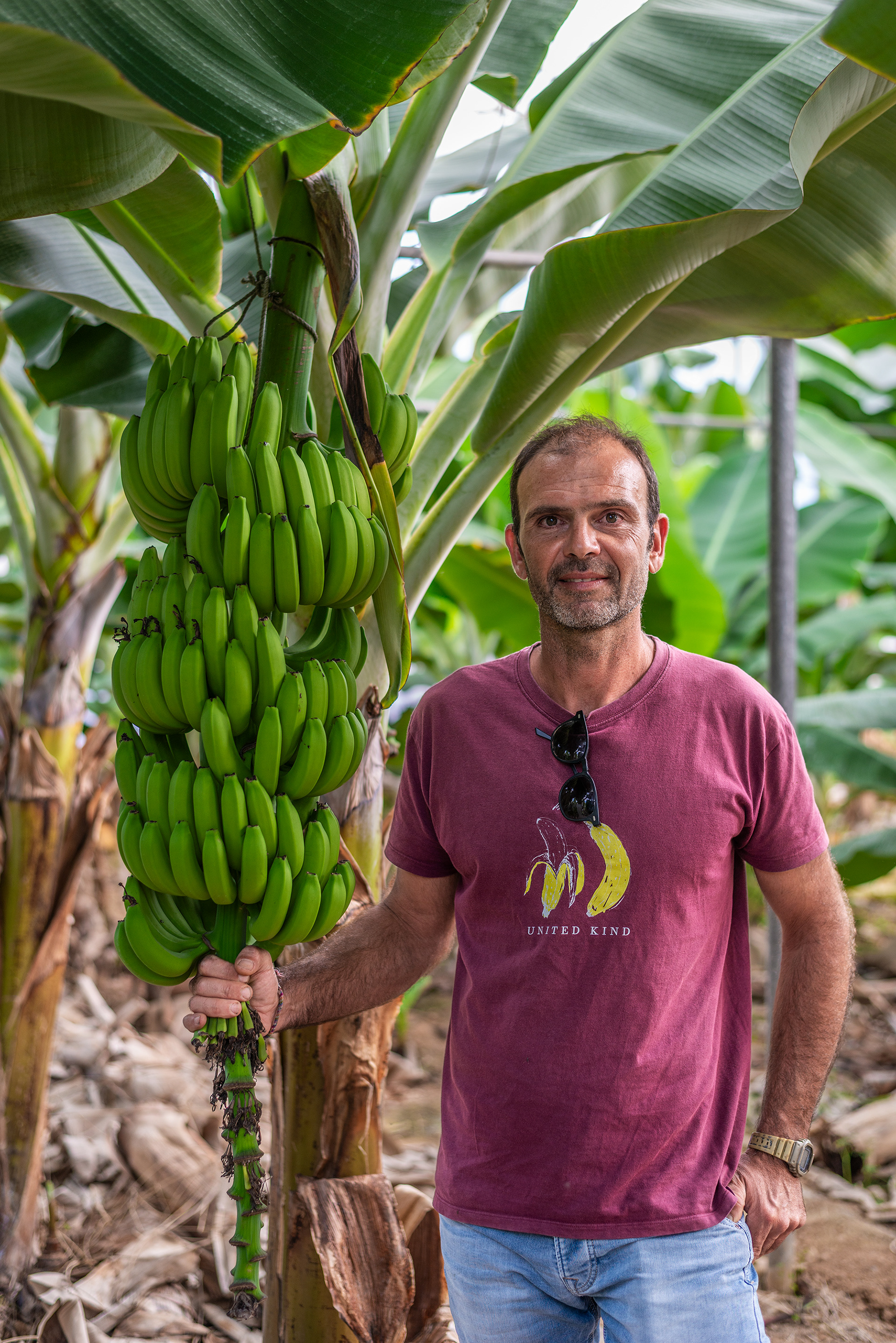 Aggelakis Nikos owner - Banana Cultivation - Sitia