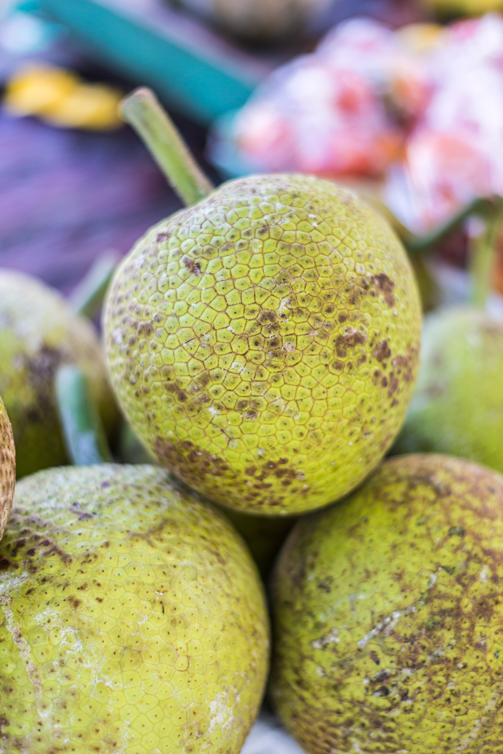 Breadfruit - Castries Market