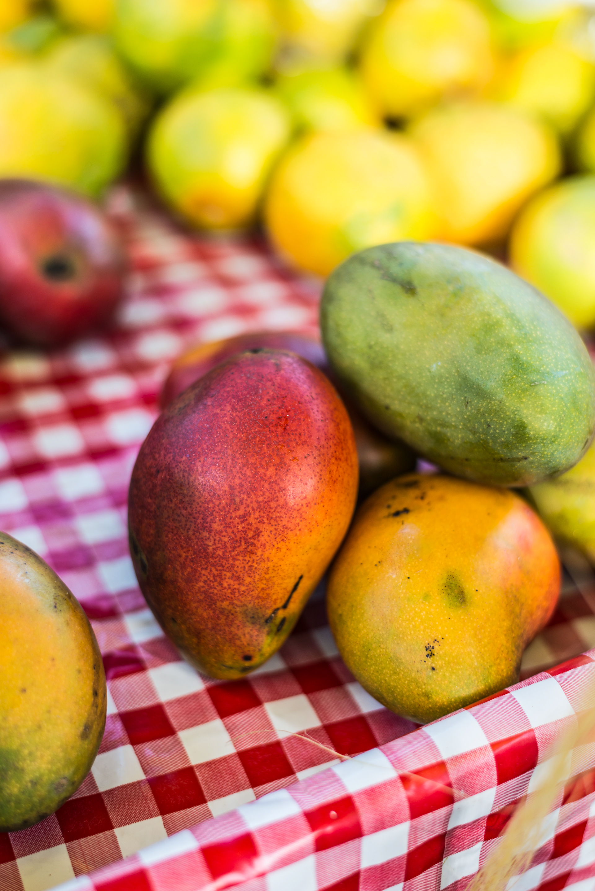 All kinds of Mangoes are available in Castries Market, St Lucia