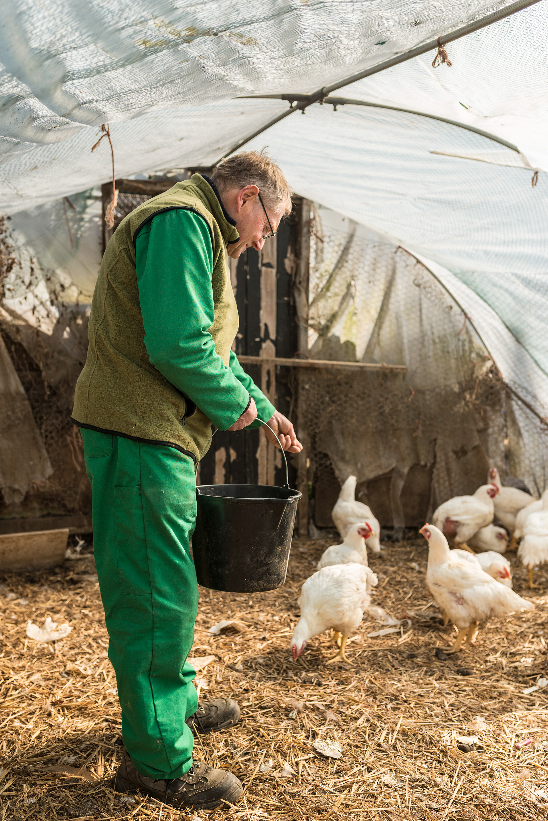 Tim with his chickens
