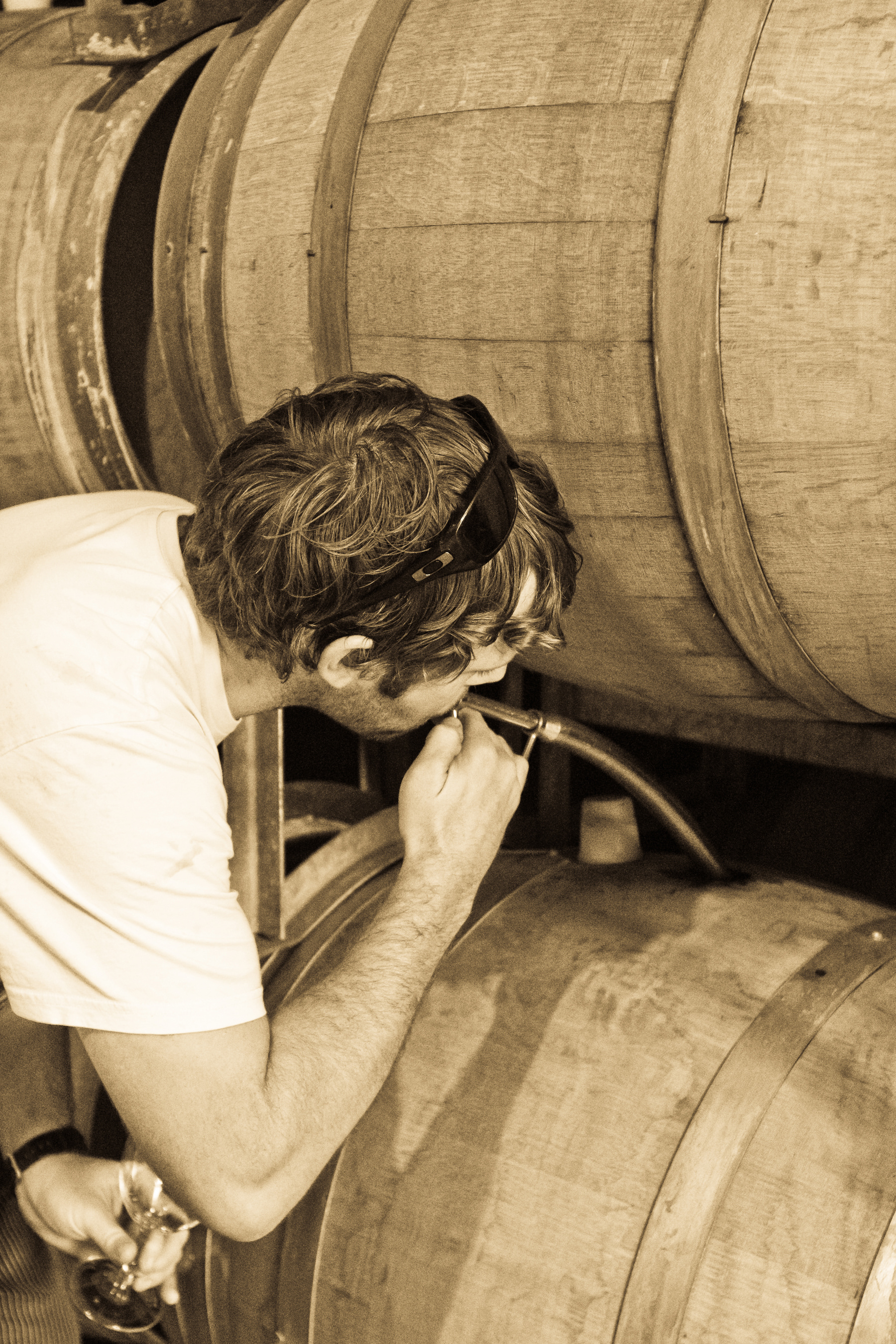 Wine Maker Sampling New Wine, Moss Wood Winery, Margaret River