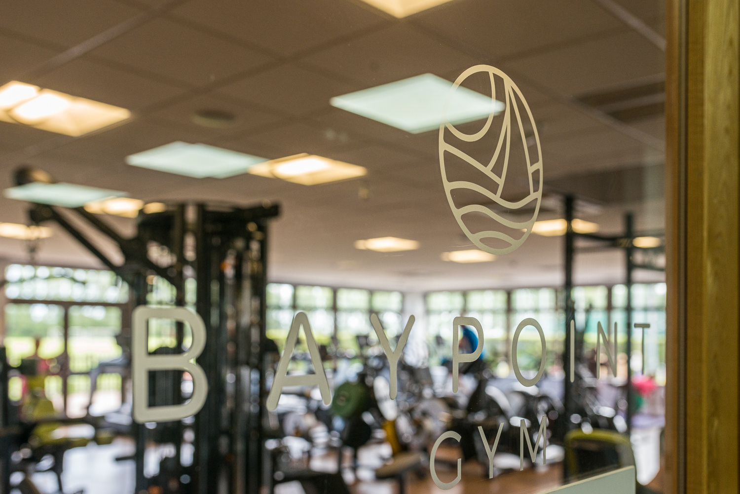 The Gym