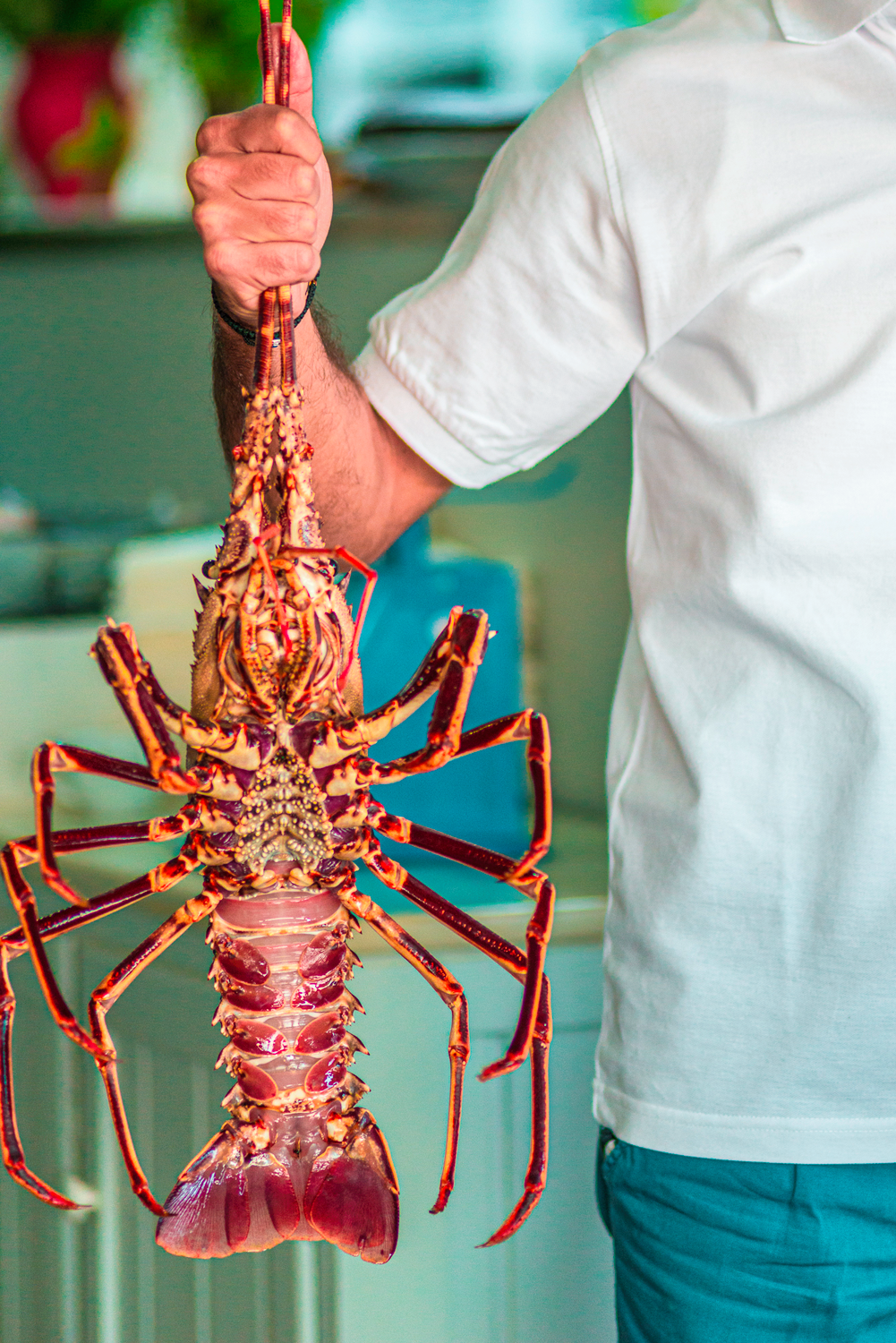 Local Lobster, Harbour Restaurants, Rethymno, Crete