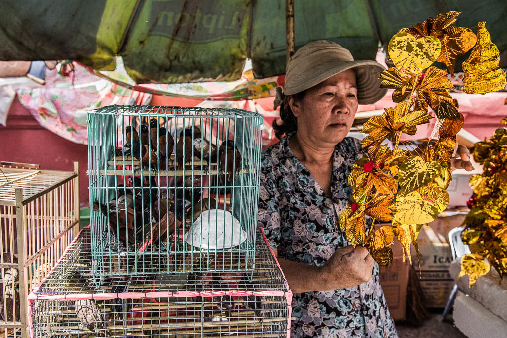 'Lucky Finches' and other offerings - Jade Pagoda - Saigon - Vietnam