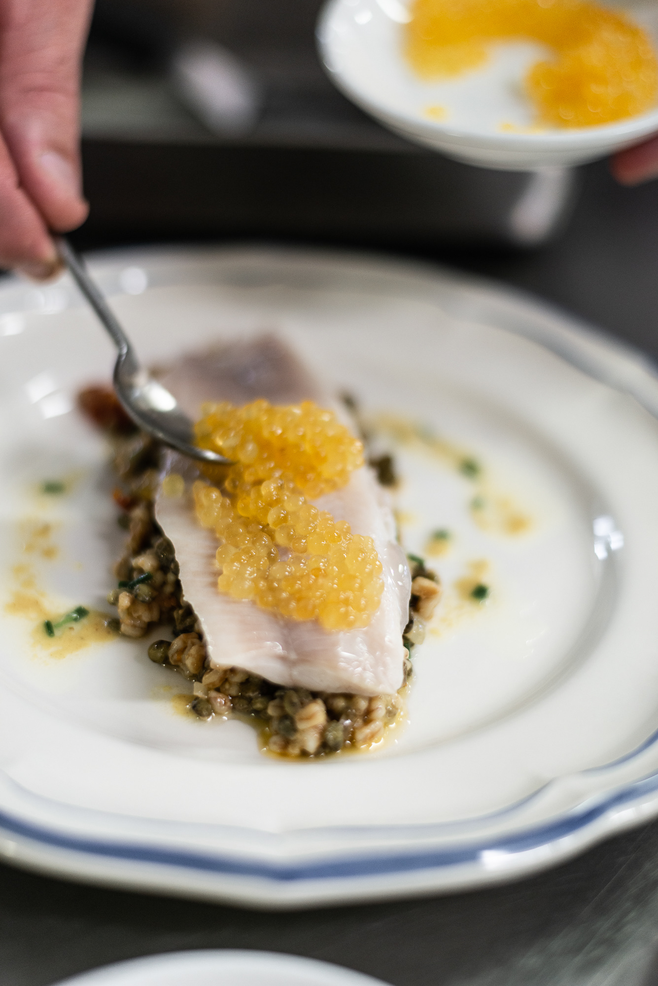 Trout Fillet with Roa & Home made Vinegar dressing on bed of spelt & Picklet Veg - Restaurant Kasselslay - Ardennes Region
