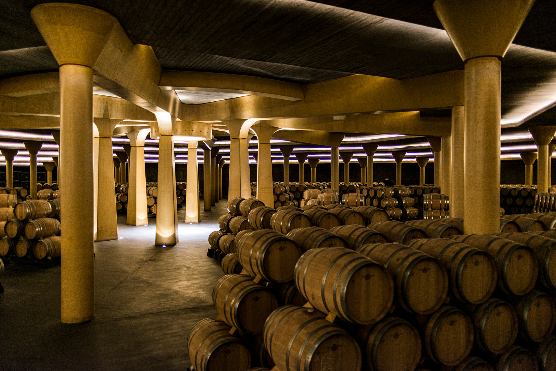 Cellars - Museum de la Cultura del Vino - Bodegas Dinastía Vivanco - Briones