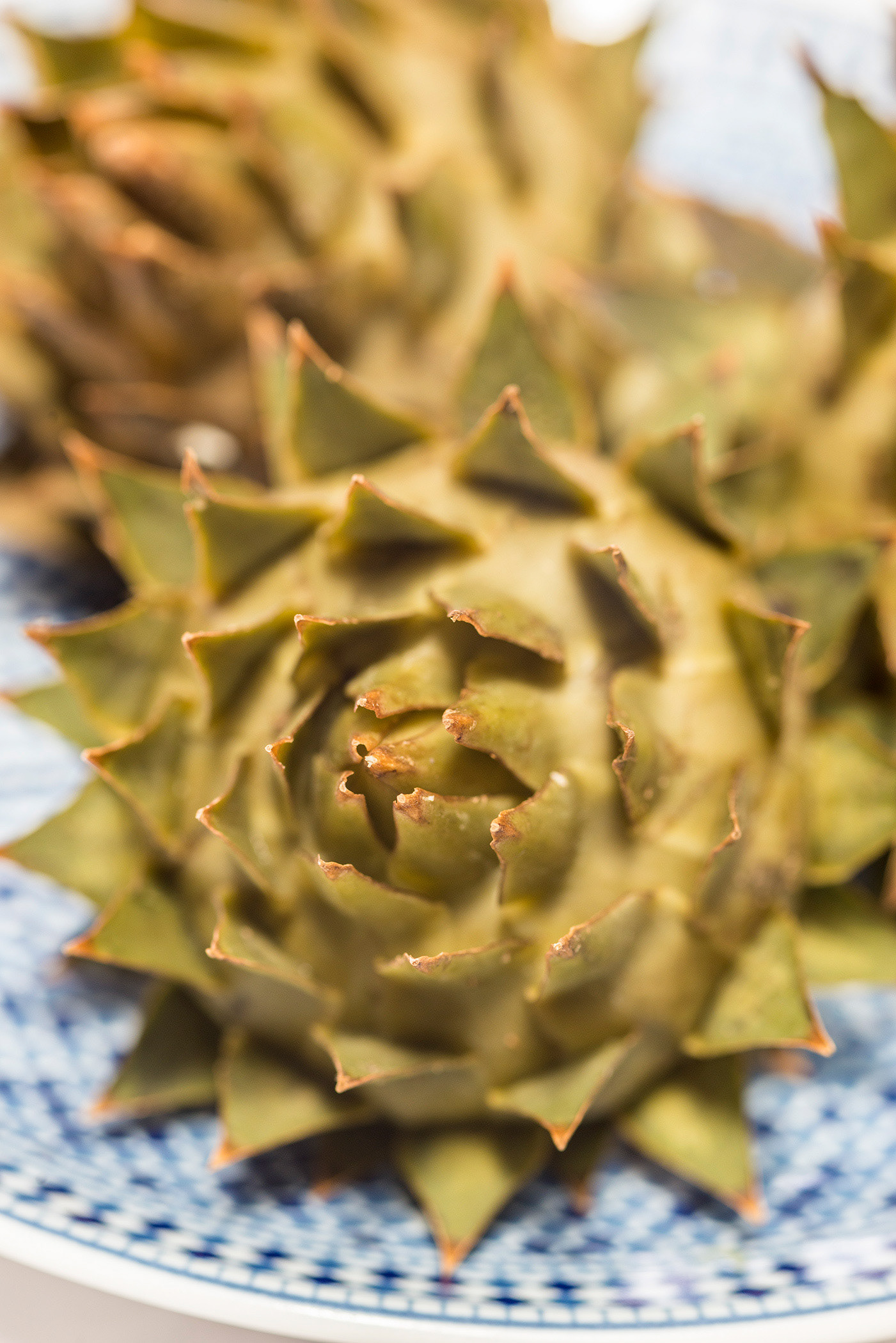 Local Wild Artichokes at Dinerjat Restaurant, Medina, Rabat