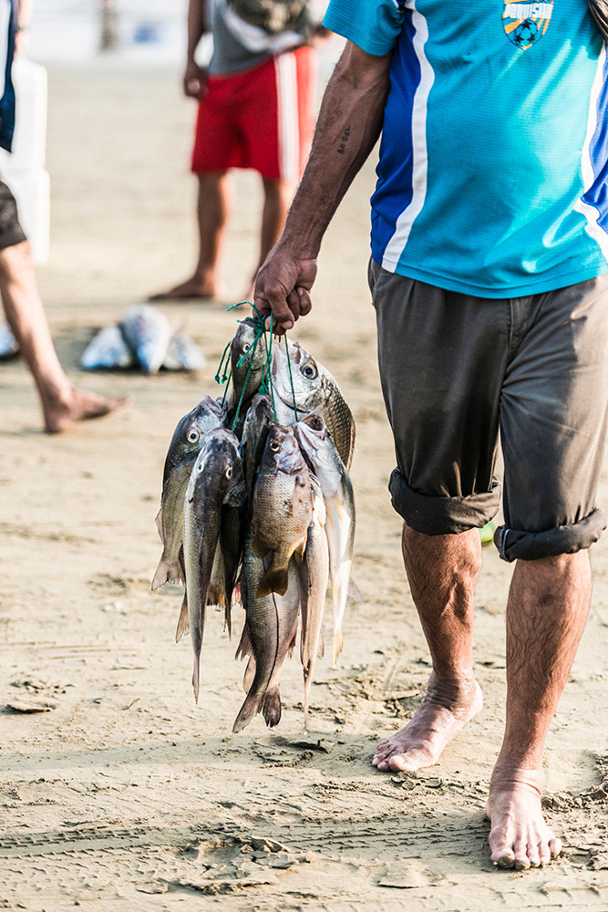 Early Morning Catch on the beach at Beach & Fish Market, Manta