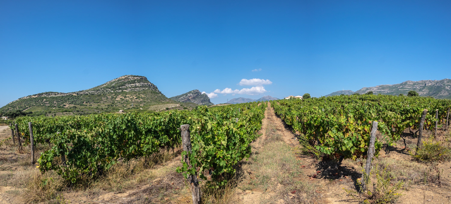 Domaine Montemagni Winery, Patrimonio