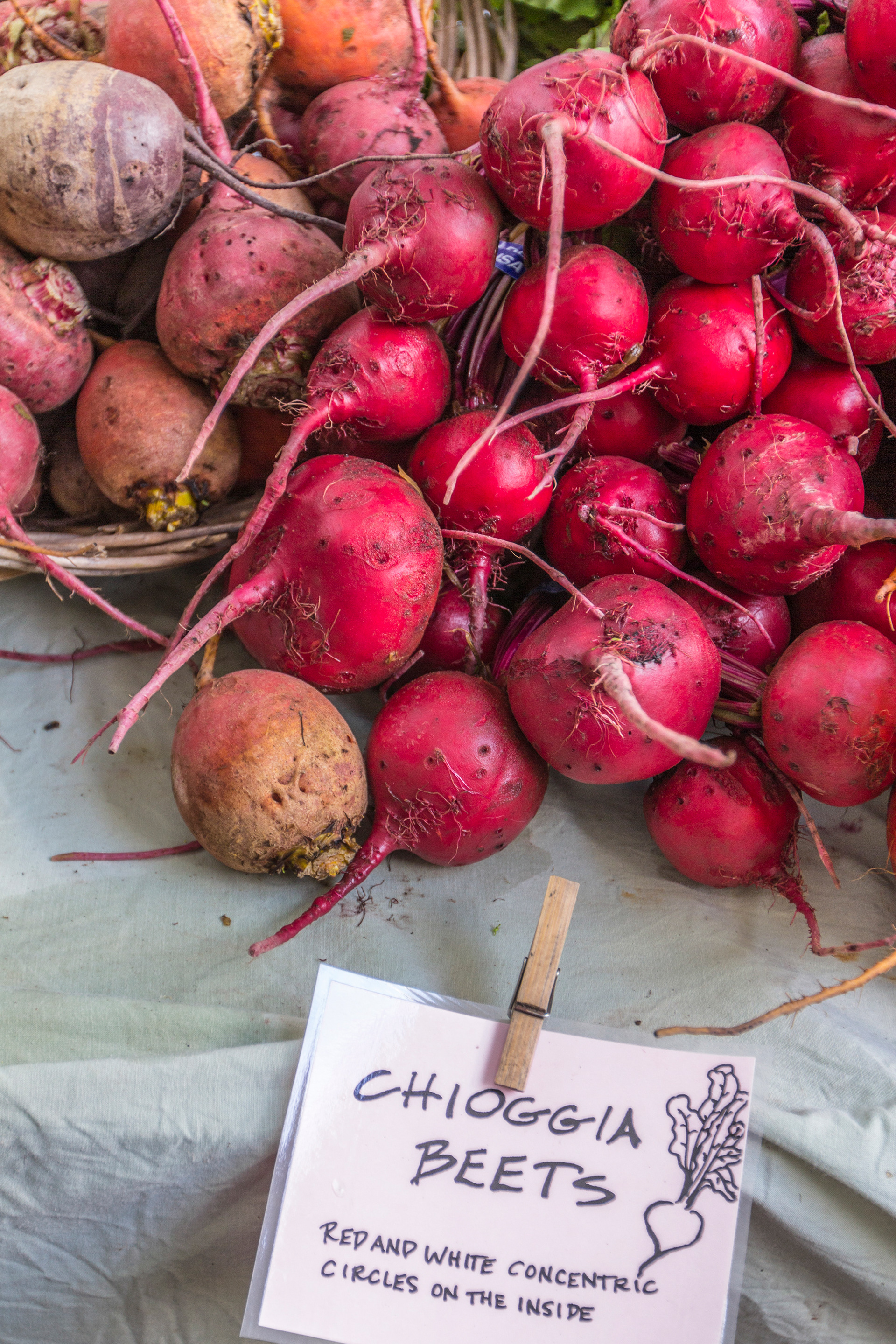 Portland Farmers Market