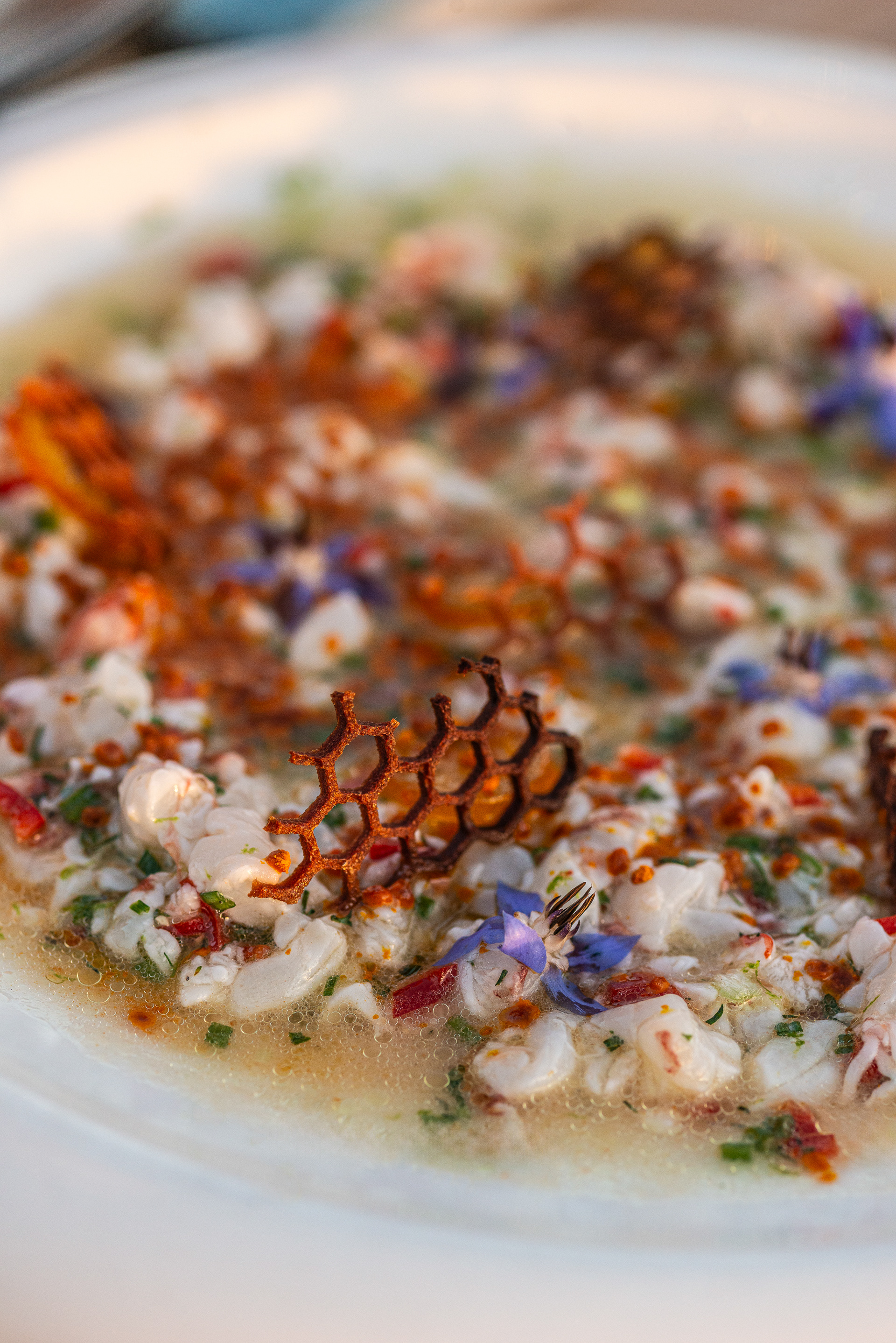 Marinated Shrimps with Kumquat with basil honeycomb - Pelagos Restaurant - Coriva Beach Hotel - Ierapetra
