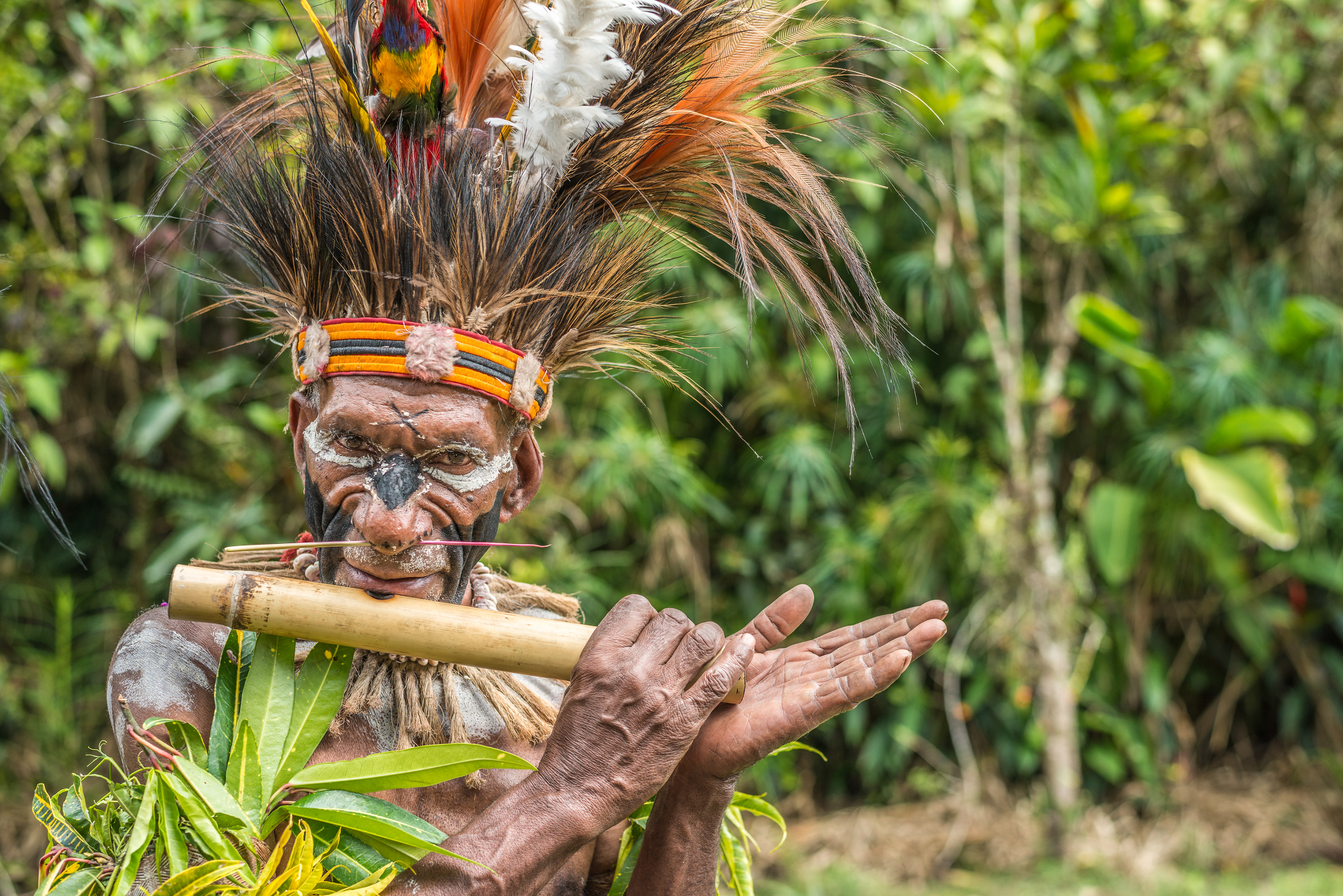 Simbu Tribal Flut player, Highlands Highway, Mt Hagen