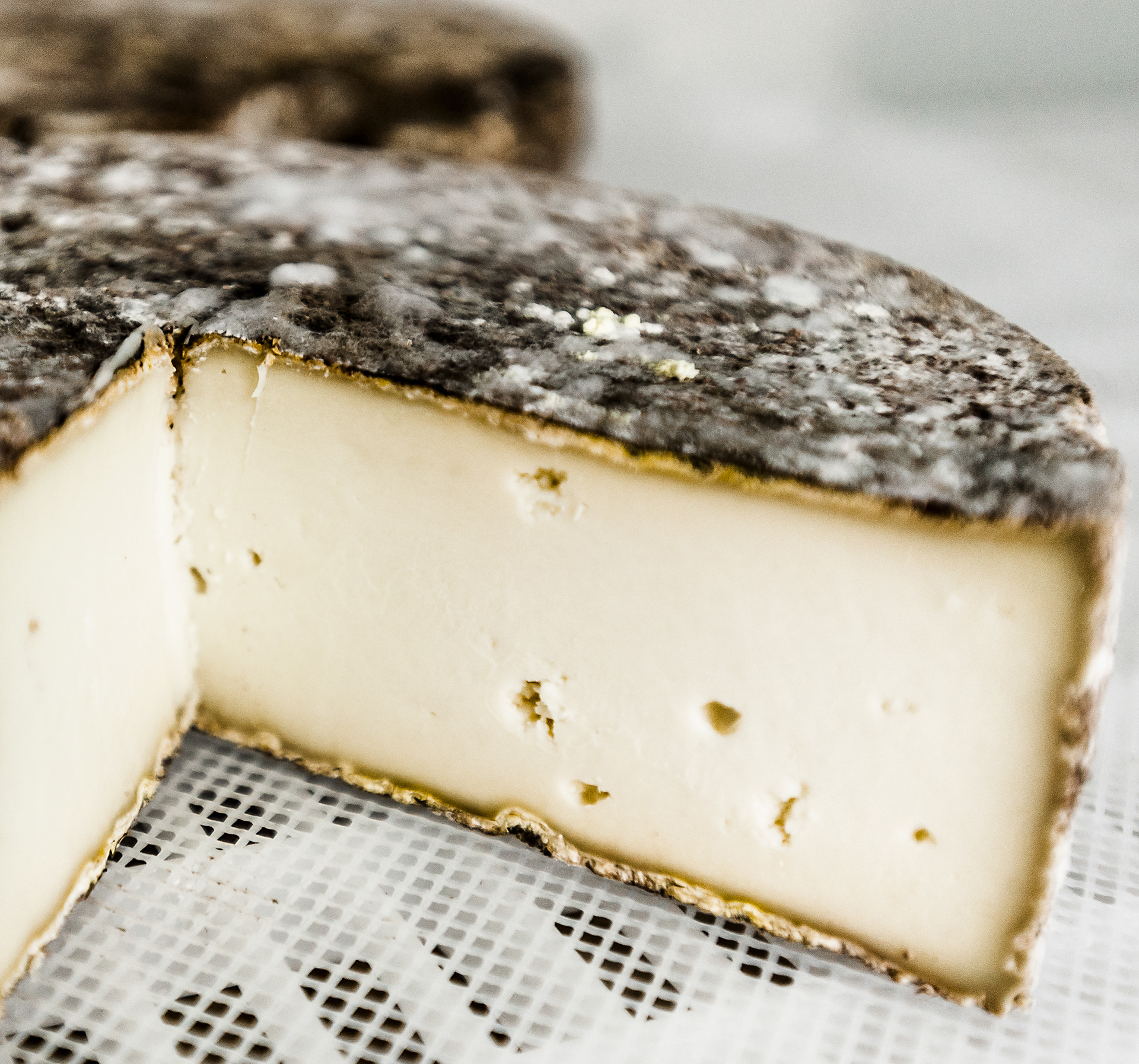 Artisan Goats Cheese, Sonogno villiage, Verzasca Valley, Ticino