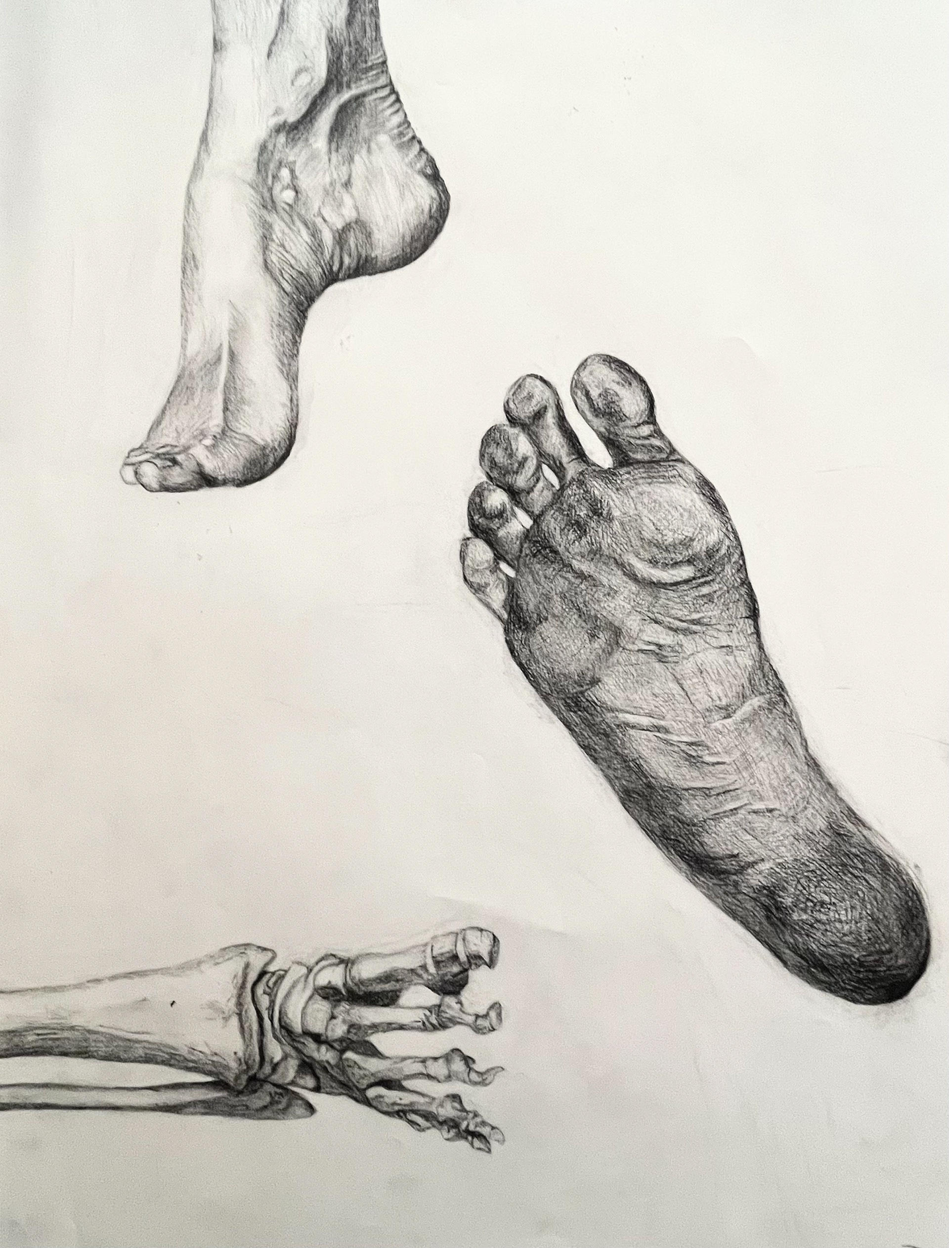 Feet Study