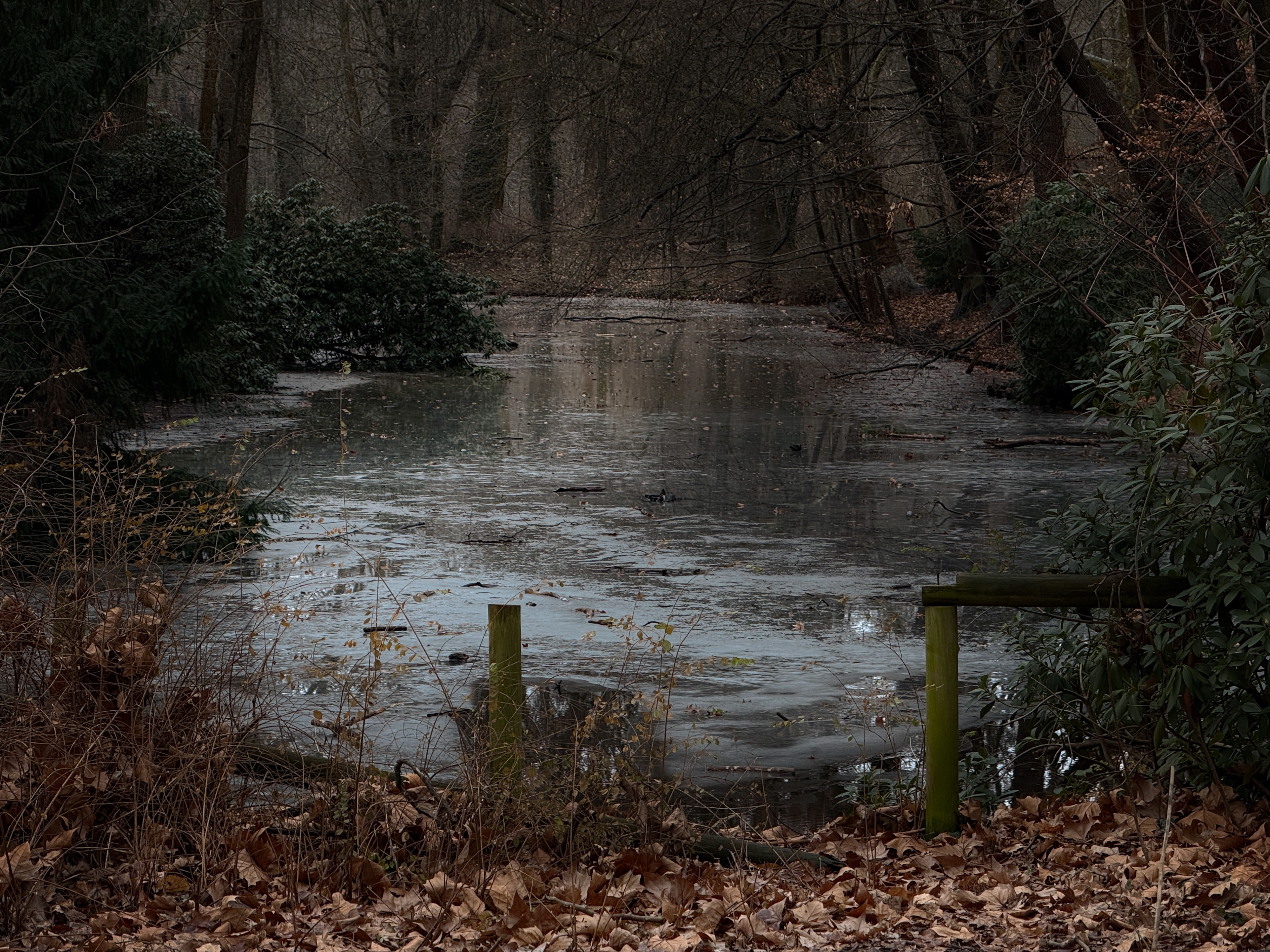 Tales of Tiergarten. Berlin, 2026.