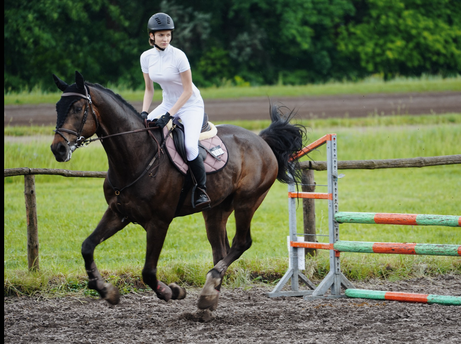 Showjumping competition at Kyiv Racecourse, Kyiv, 2026.