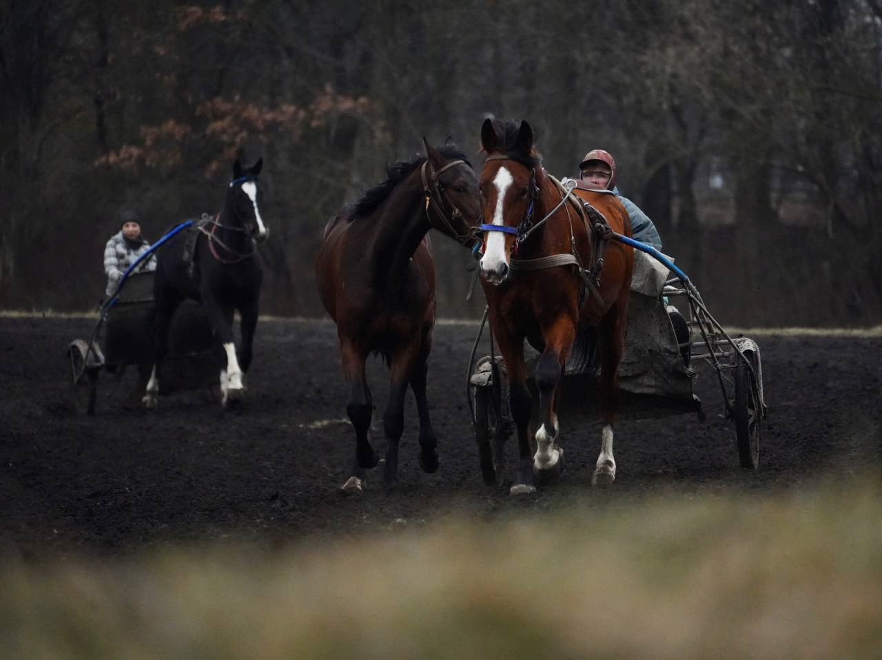 Winter Workouts and Kyiv Hippodrome, Kyiv, 2023