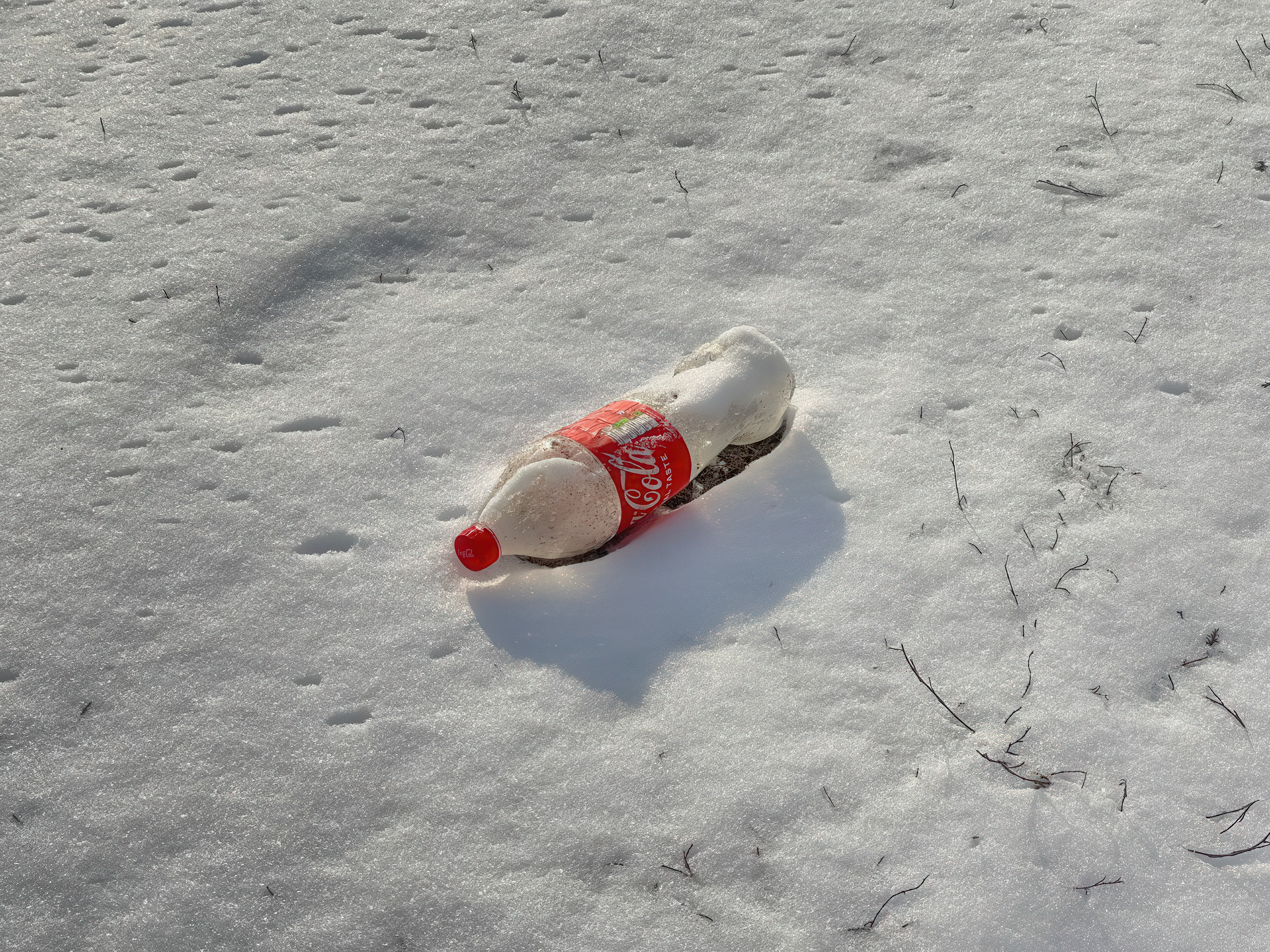 Tracks in the Snow, Khodosivka, Kyiv Oblast, 2023