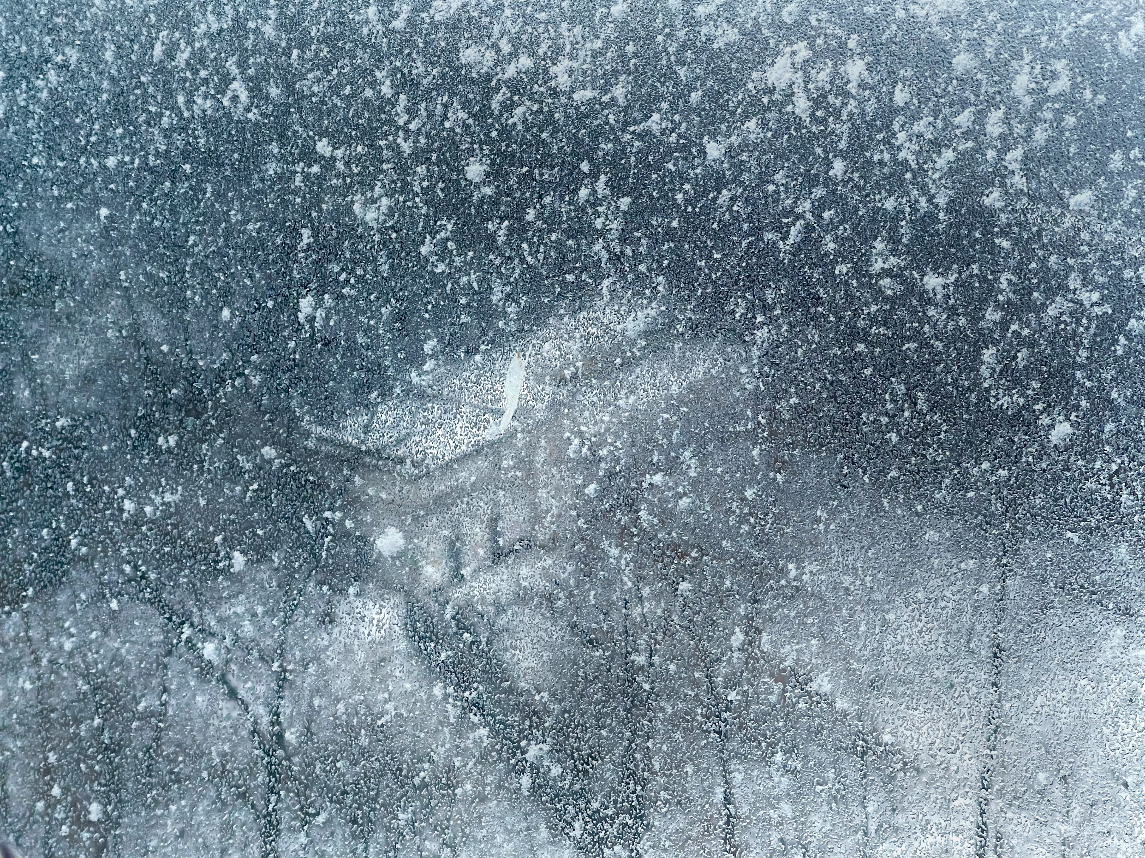 Tracks in the Snow, Kyiv, 2025